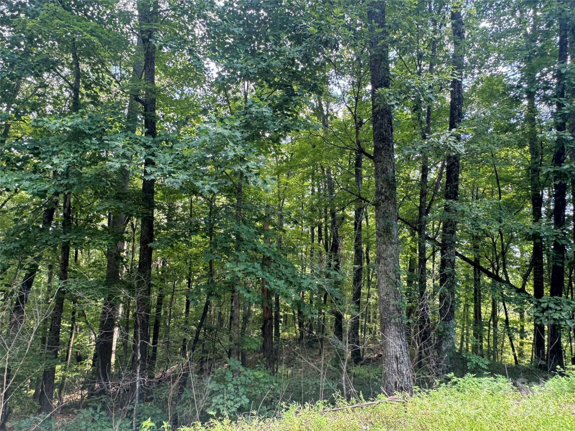 177 Peartree Drive - Photo 5