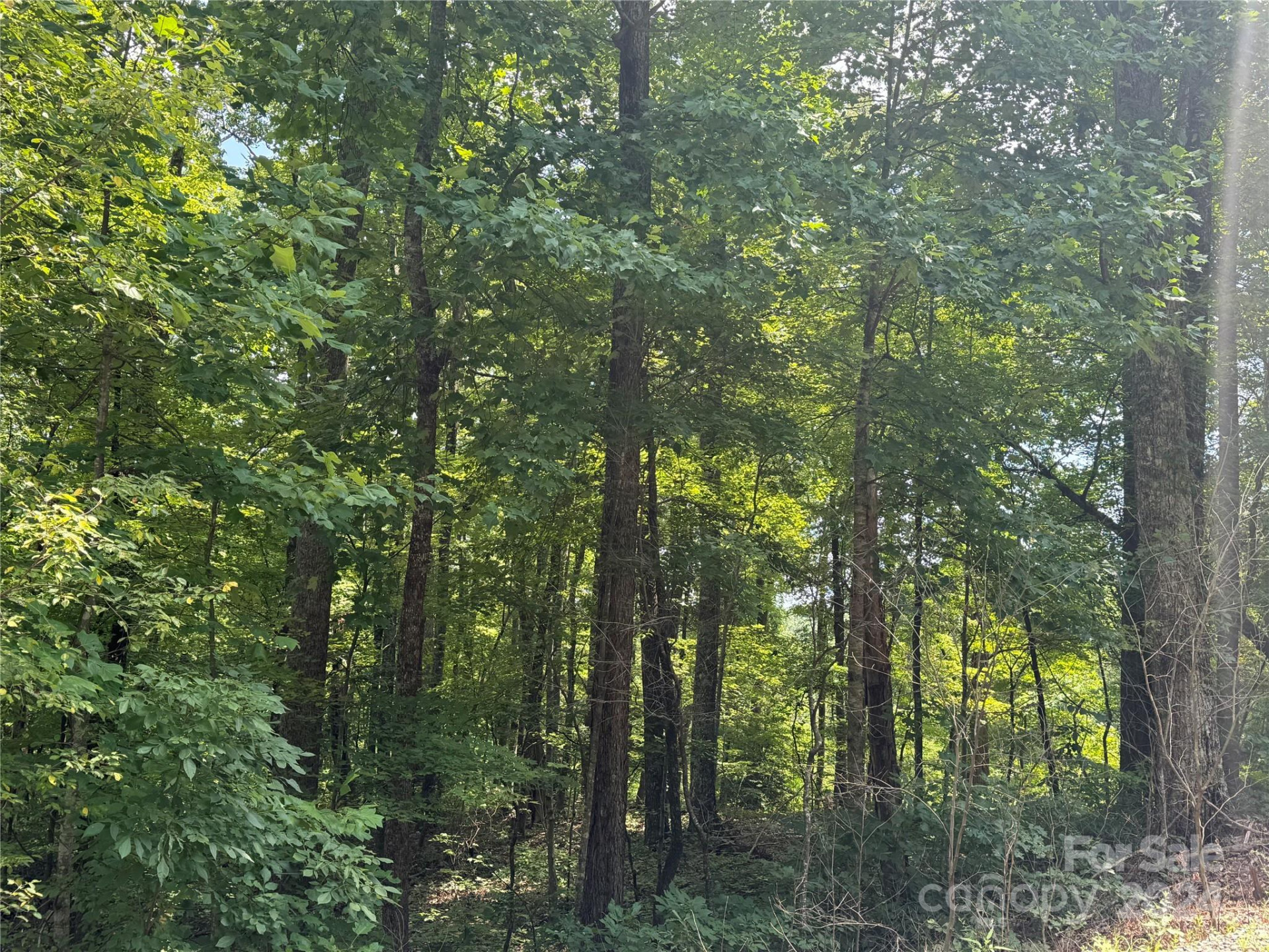 177 Peartree Drive - Photo 6