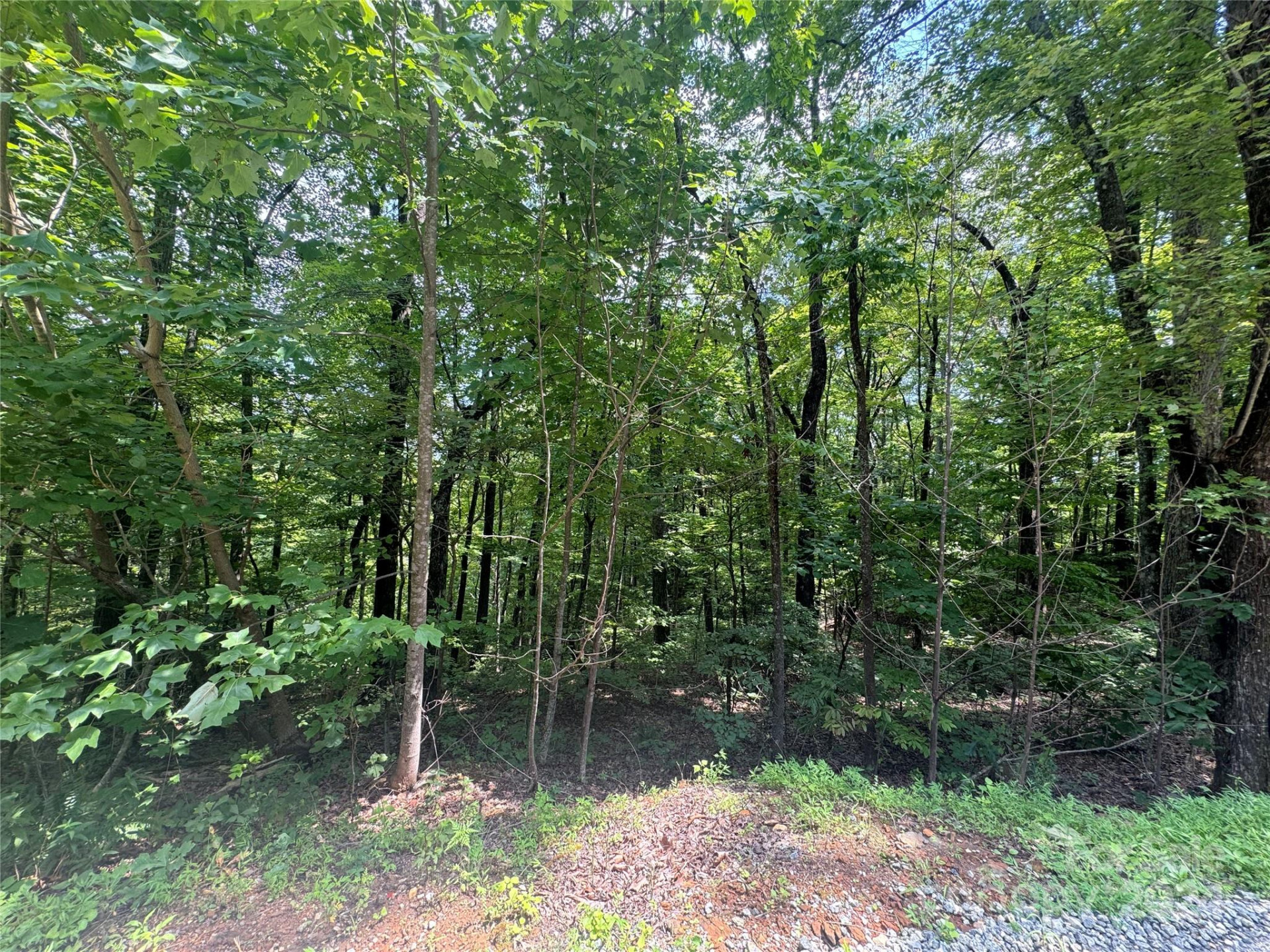 177 Peartree Drive - Photo 7