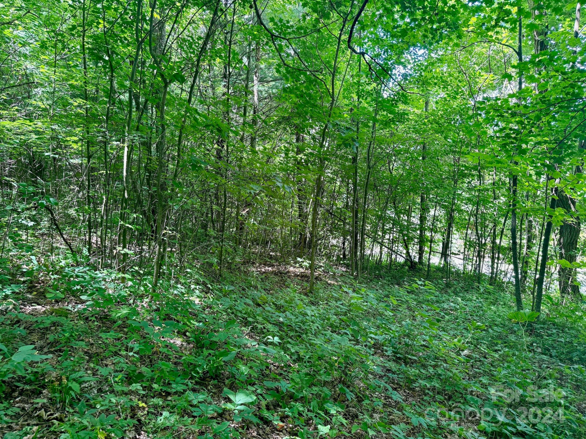 35 Flying Hawk Way - Photo 12