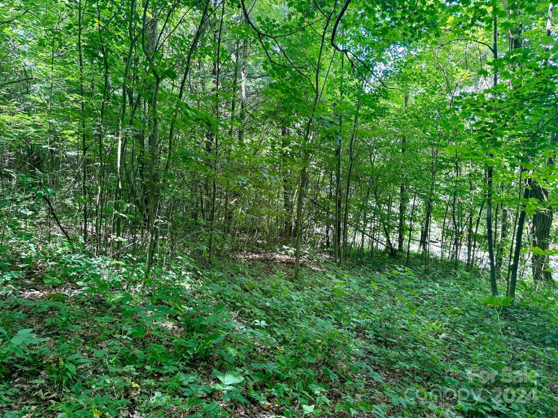 35 Flying Hawk Way - Photo 12