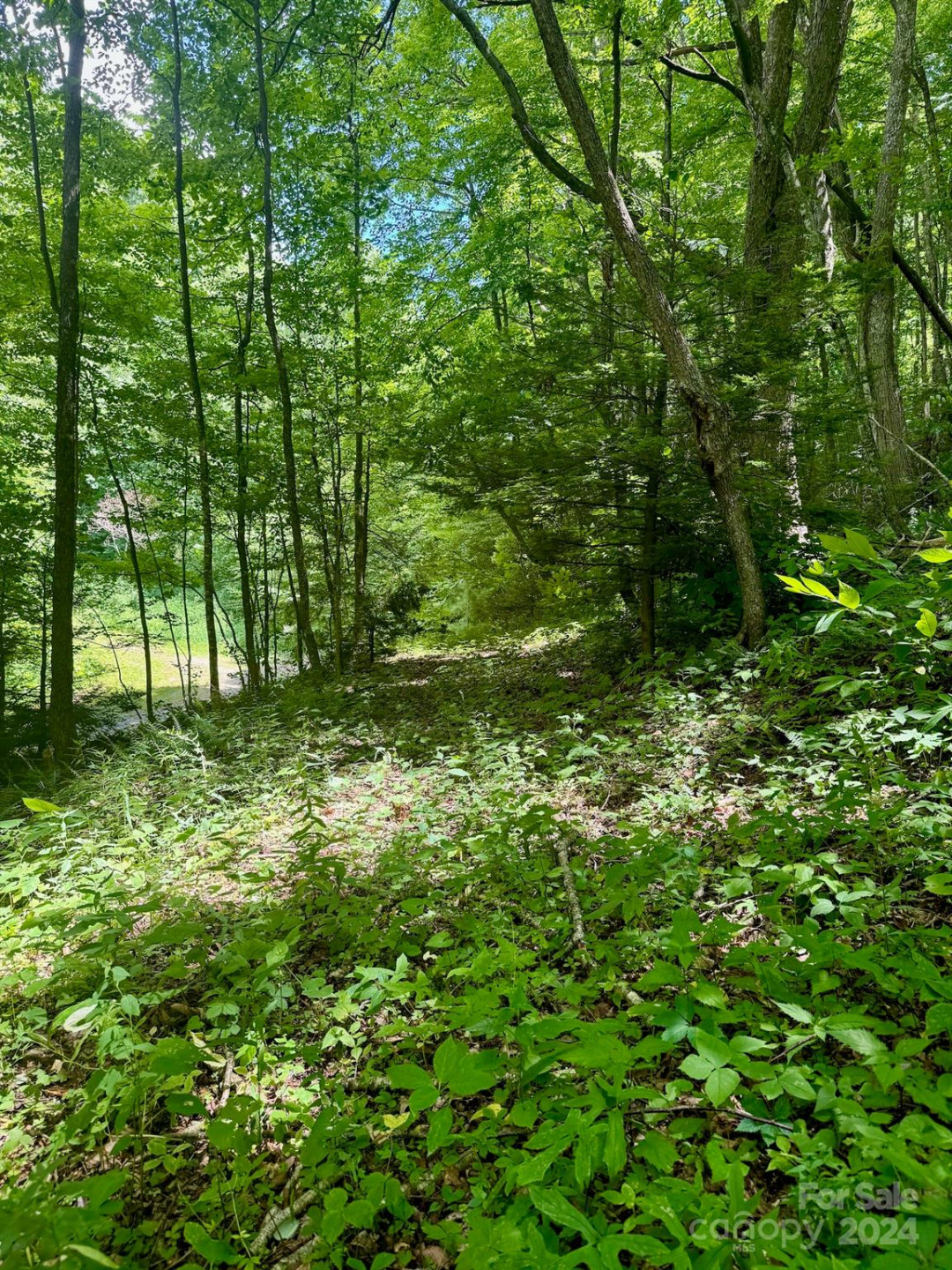 35 Flying Hawk Way - Photo 13