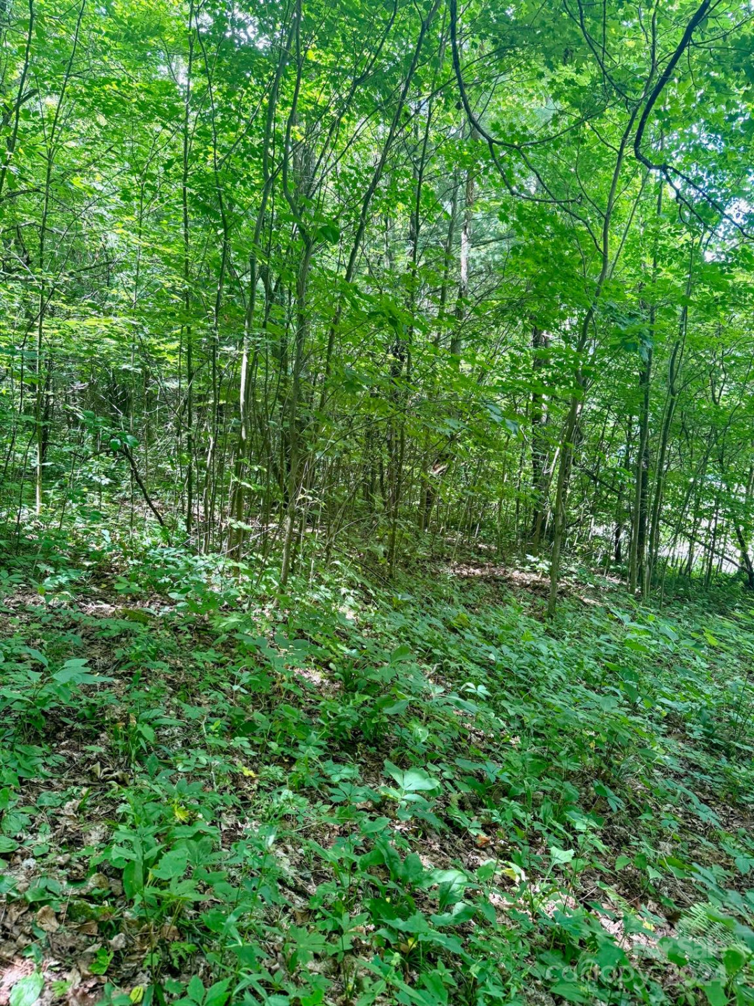 35 Flying Hawk Way - Photo 14