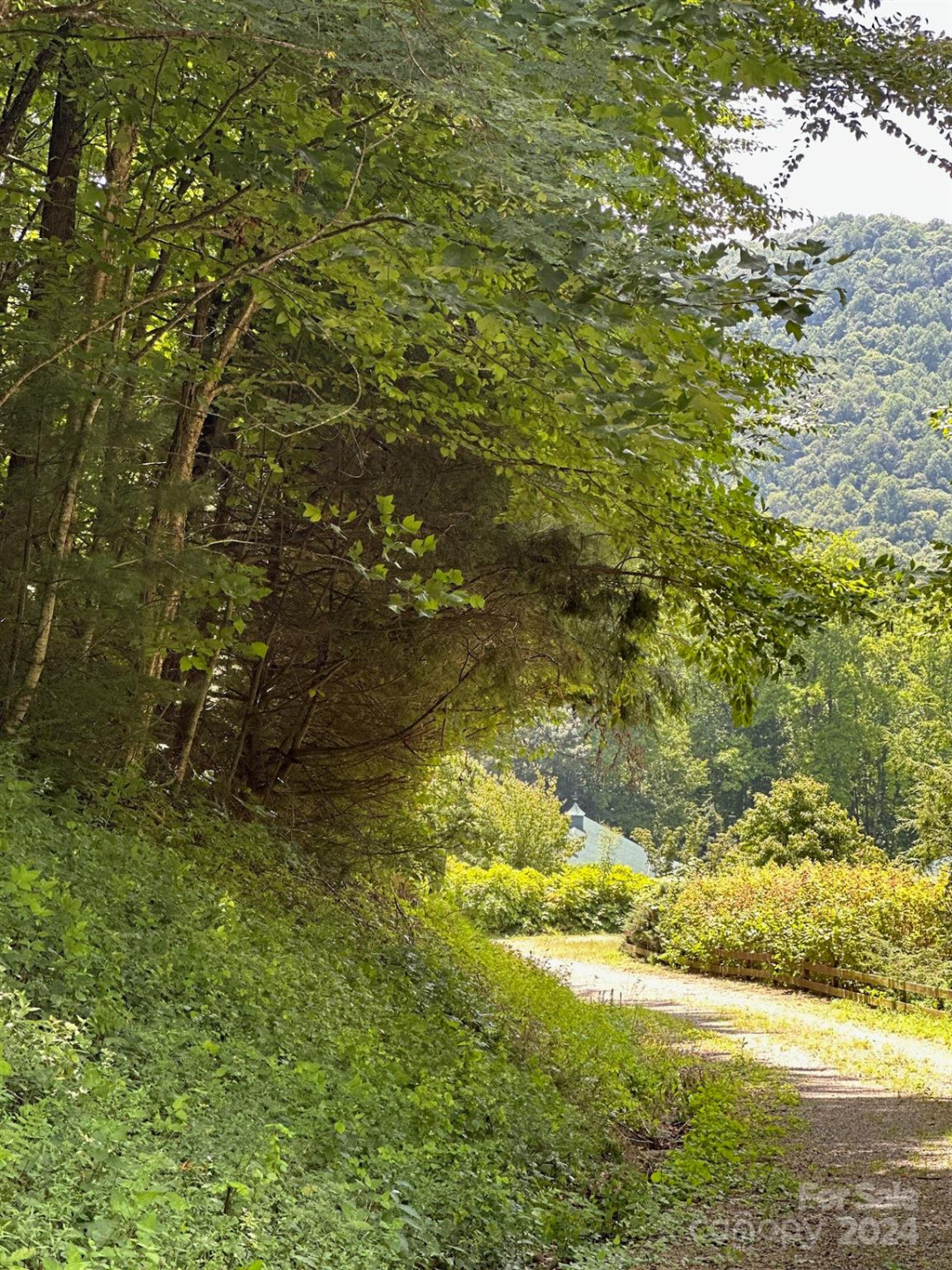 35 Flying Hawk Way - Photo 15