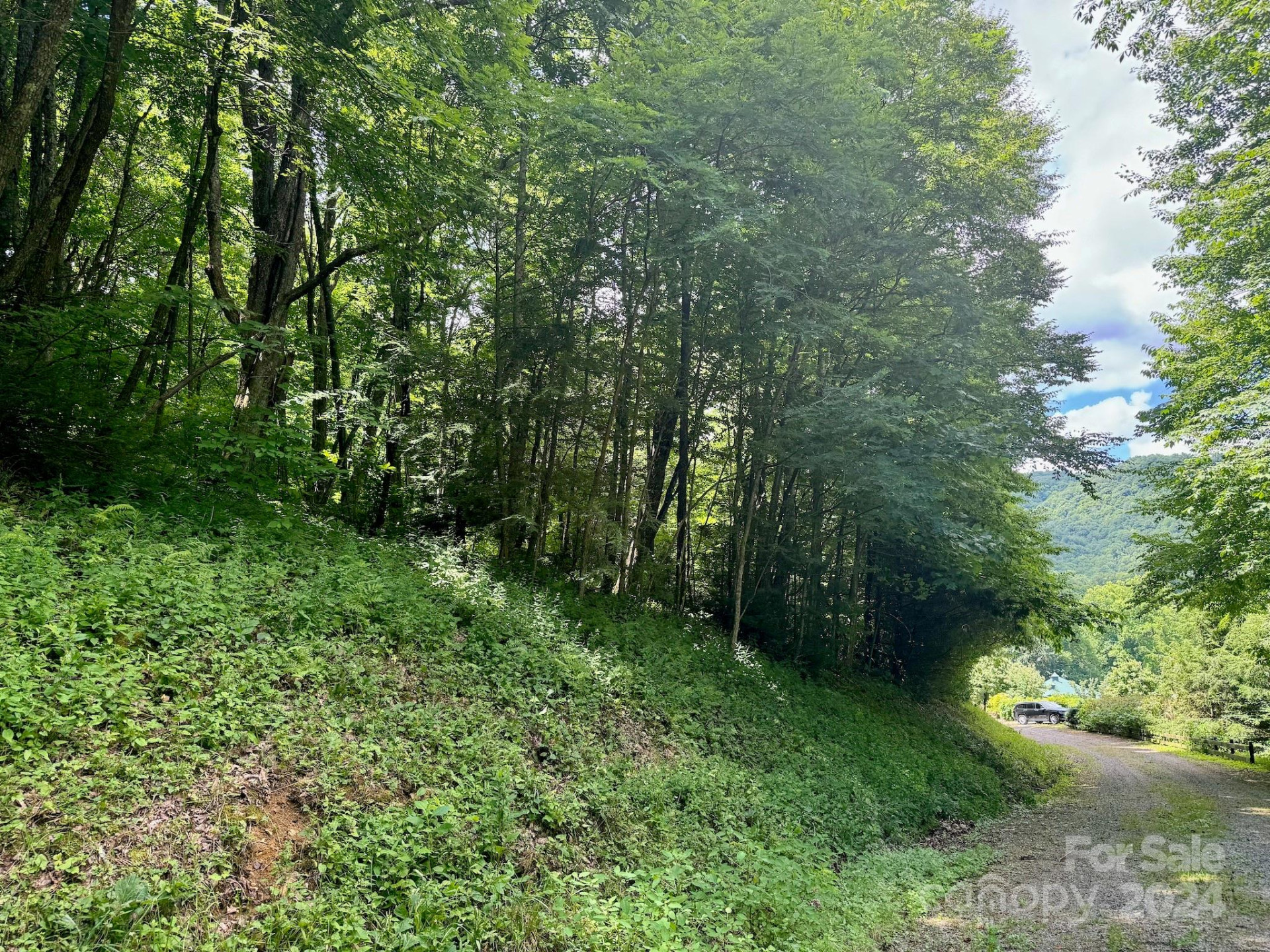 35 Flying Hawk Way - Photo 16