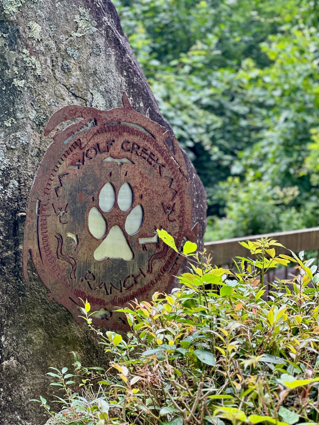 35 Flying Hawk Way - Photo 4