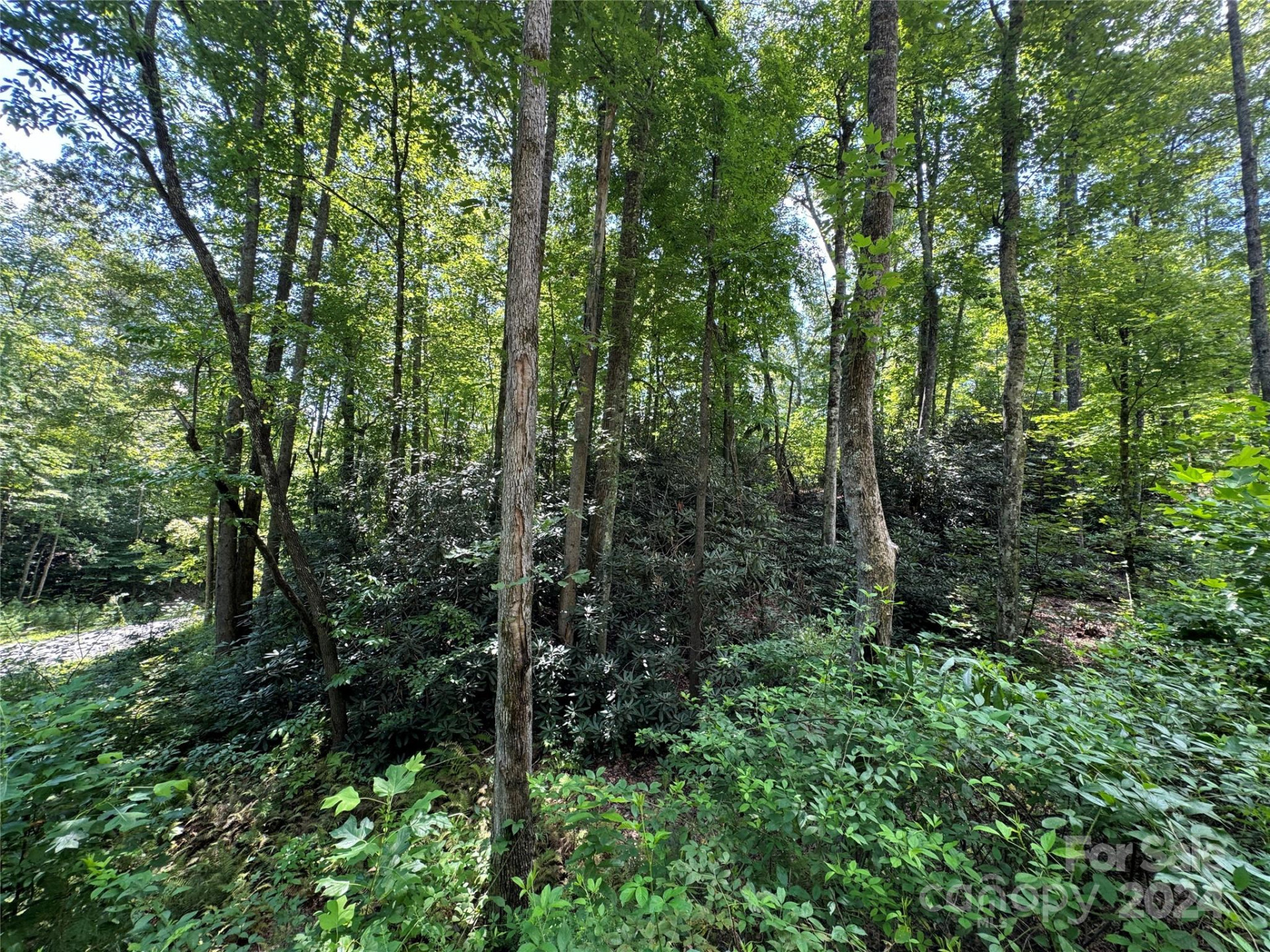 13 Cherry Cove Way #2 - Photo 11