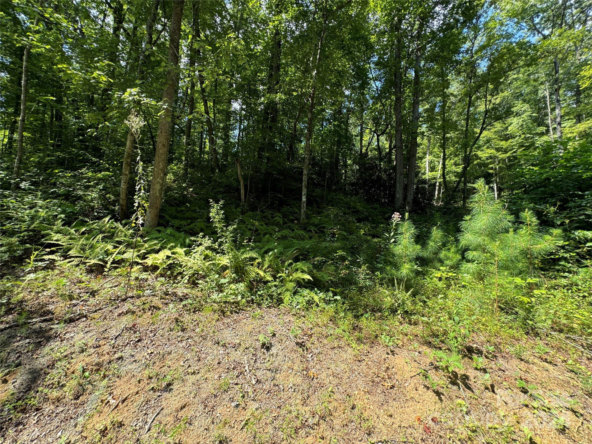 13 Cherry Cove Way #2 - Photo 14