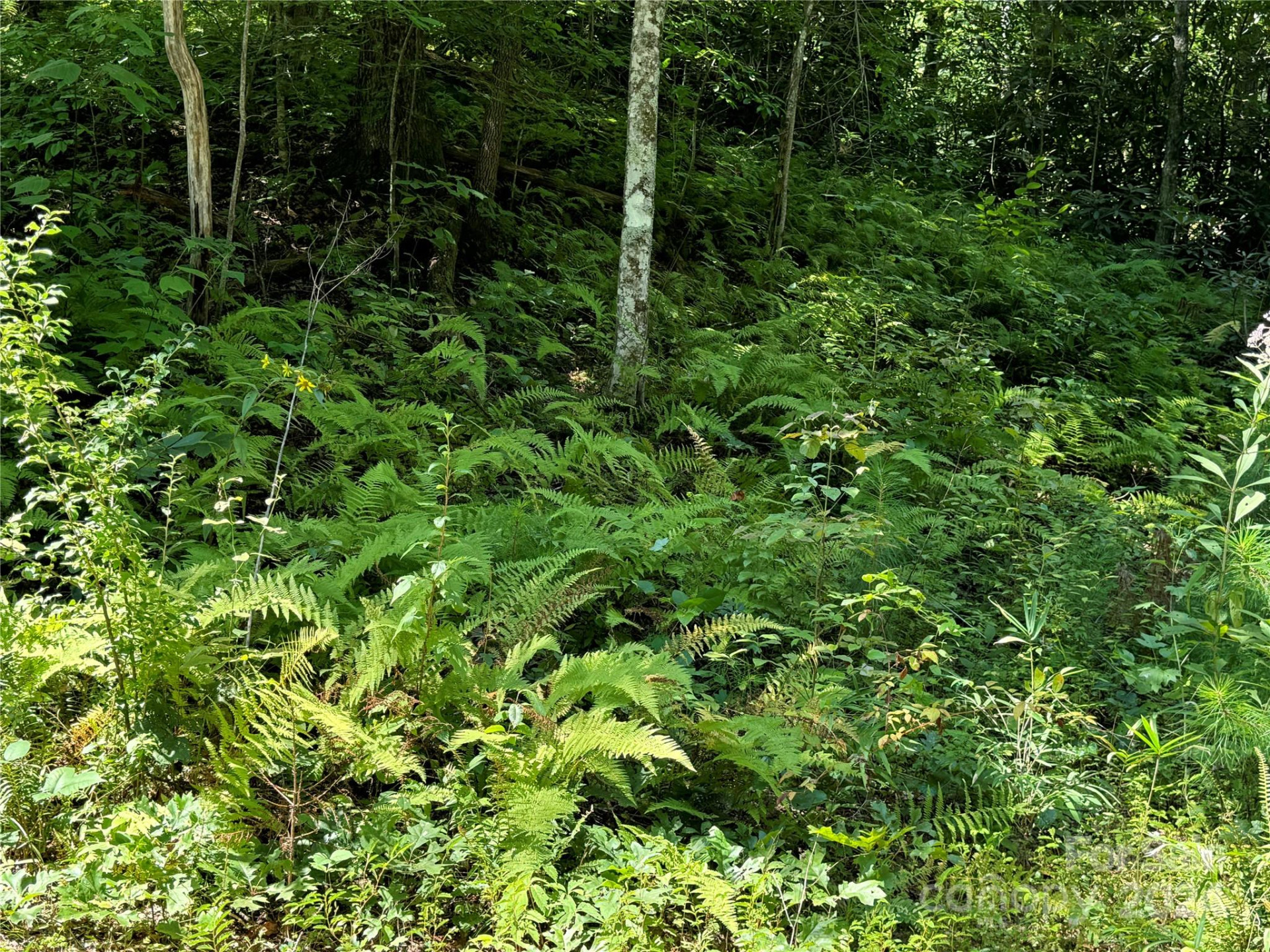 13 Cherry Cove Way #2 - Photo 15