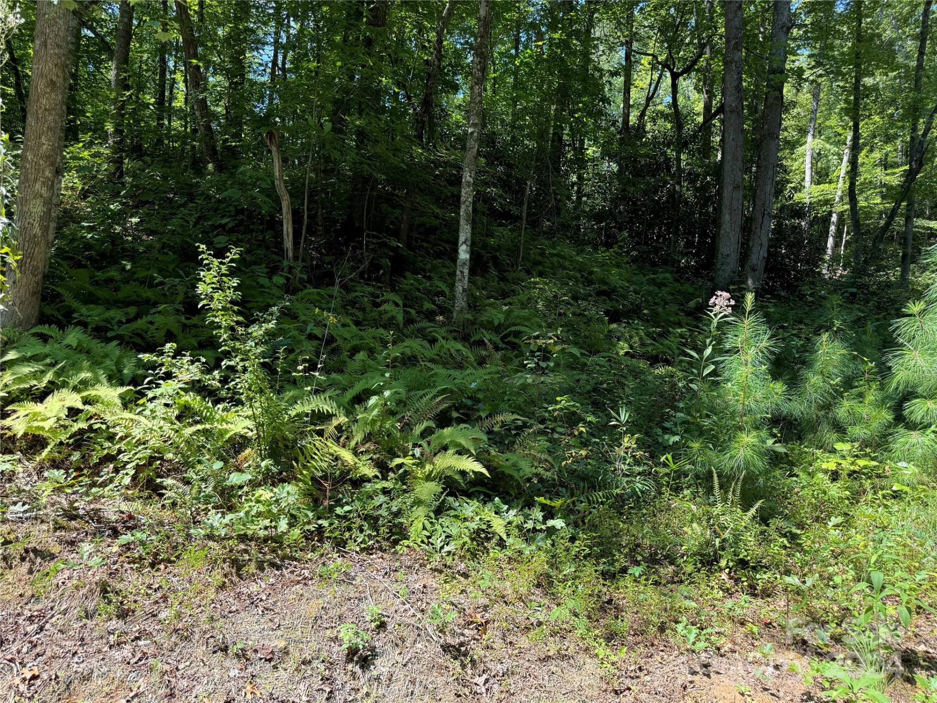 13 Cherry Cove Way #2 - Photo 16