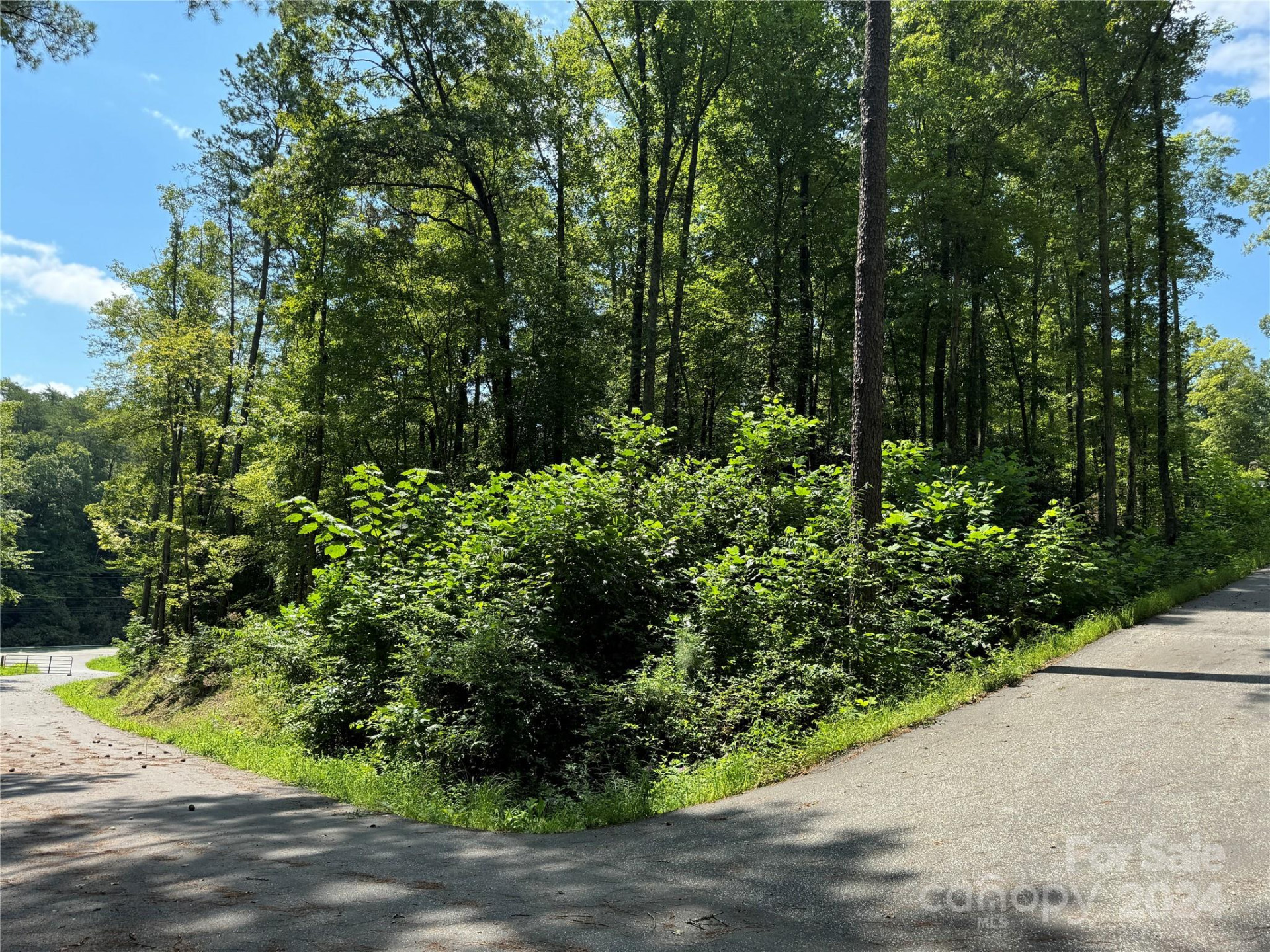 13 Cherry Cove Way #2 - Photo 18