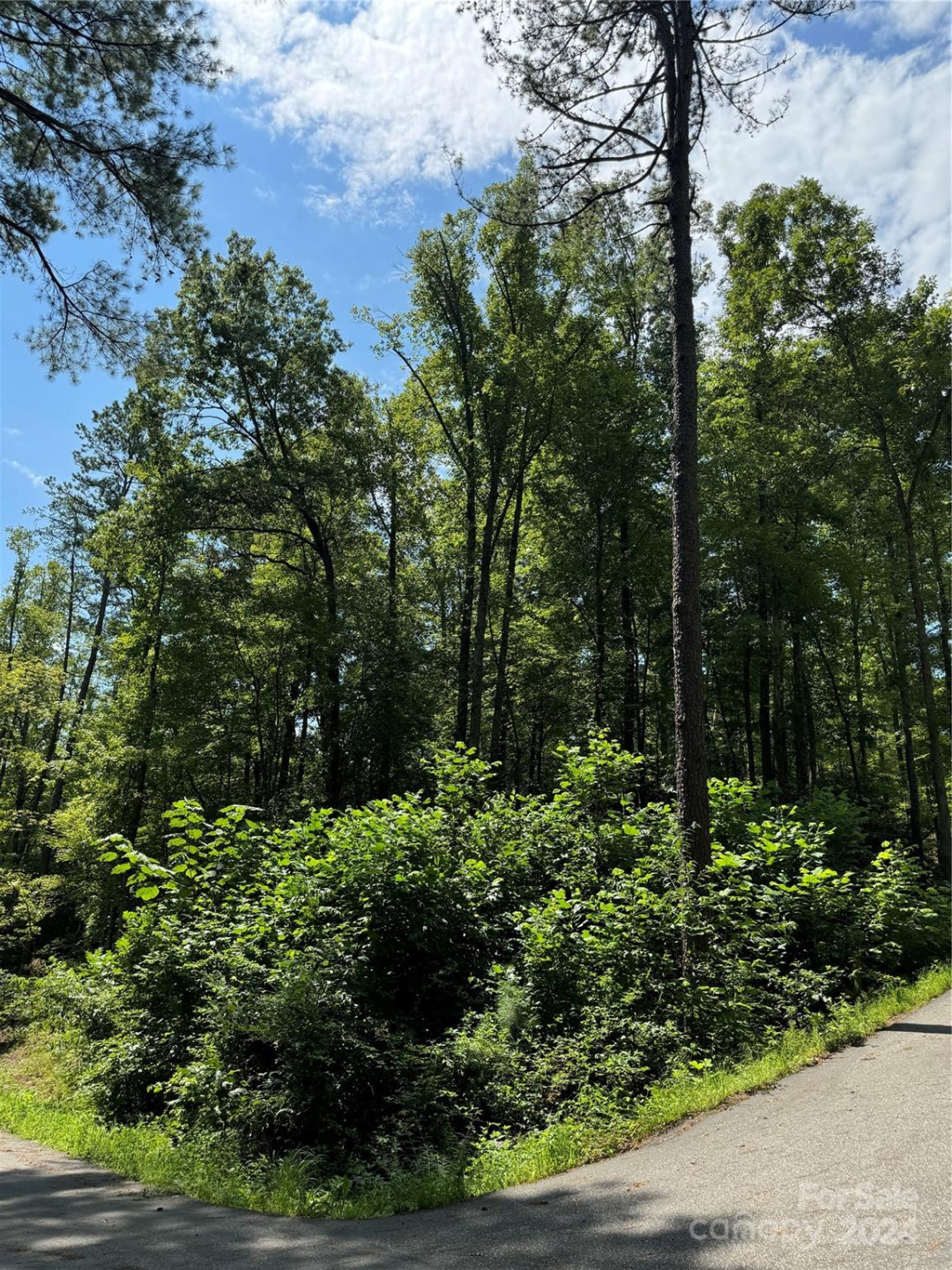 13 Cherry Cove Way #2 - Photo 6