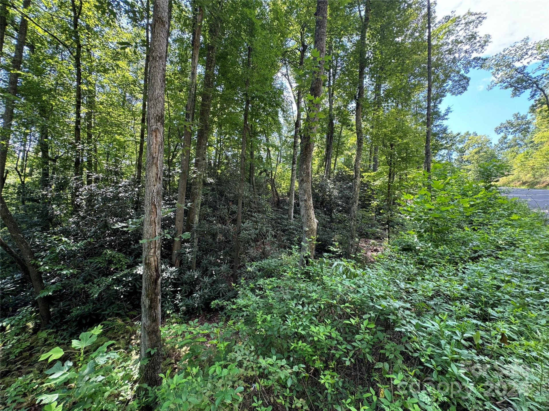 13 Cherry Cove Way #2 - Photo 10