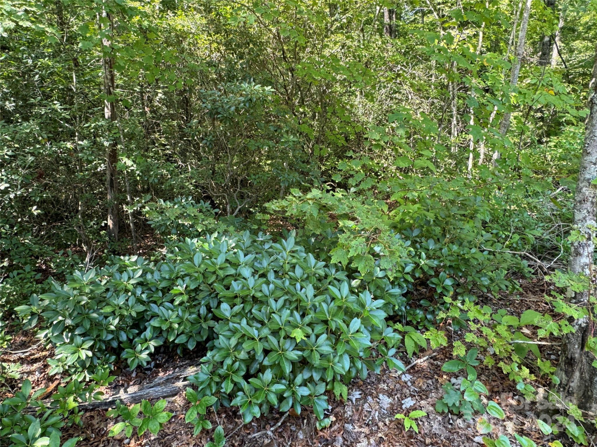 63 Cherry Cove Lane #3 - Photo 11