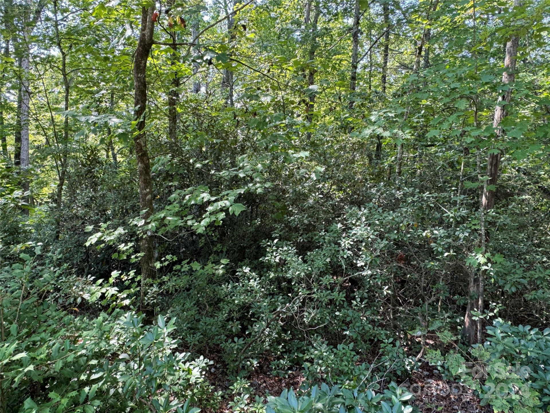 63 Cherry Cove Lane #3 - Photo 12