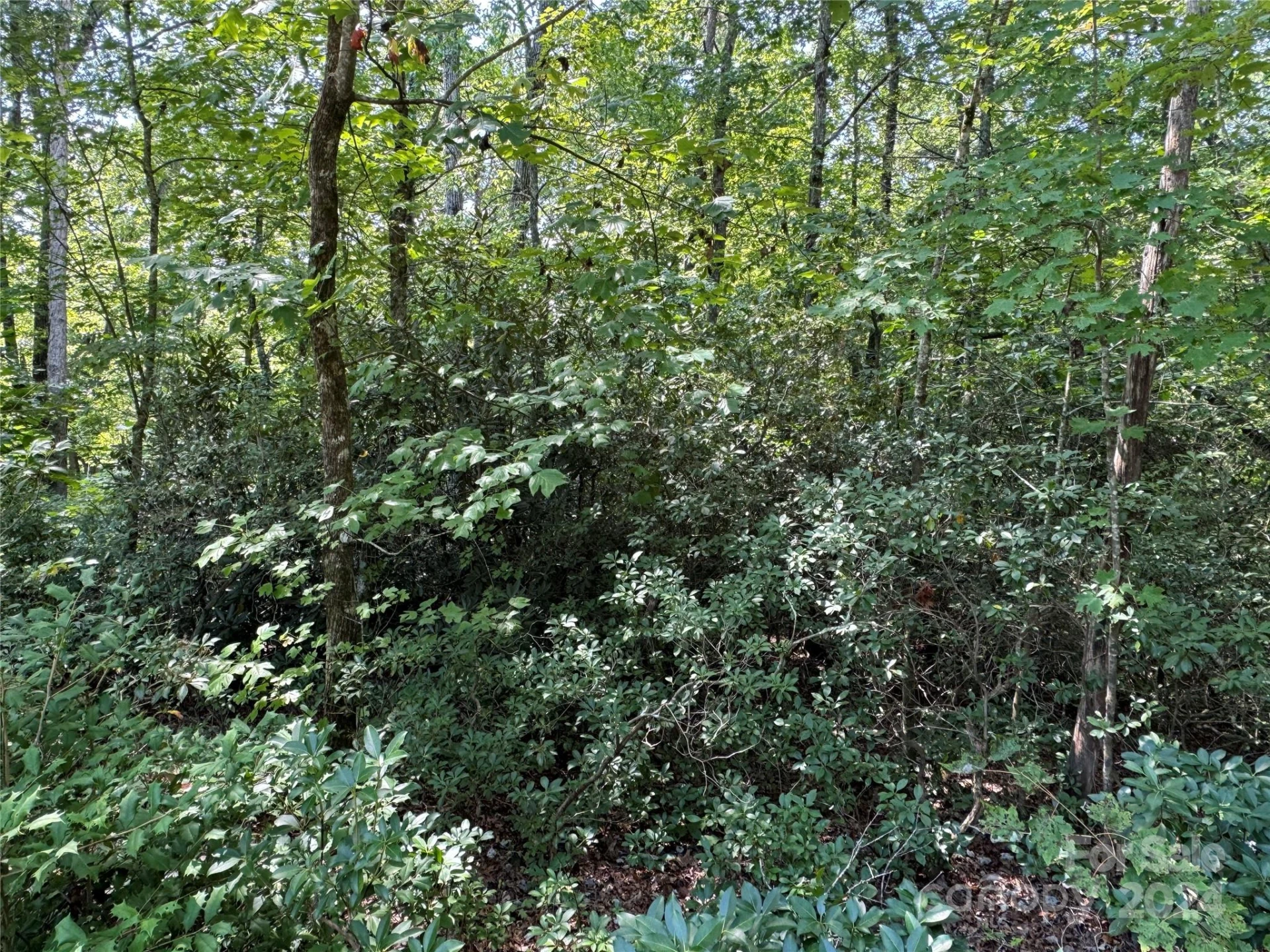 63 Cherry Cove Lane #3 - Photo 12