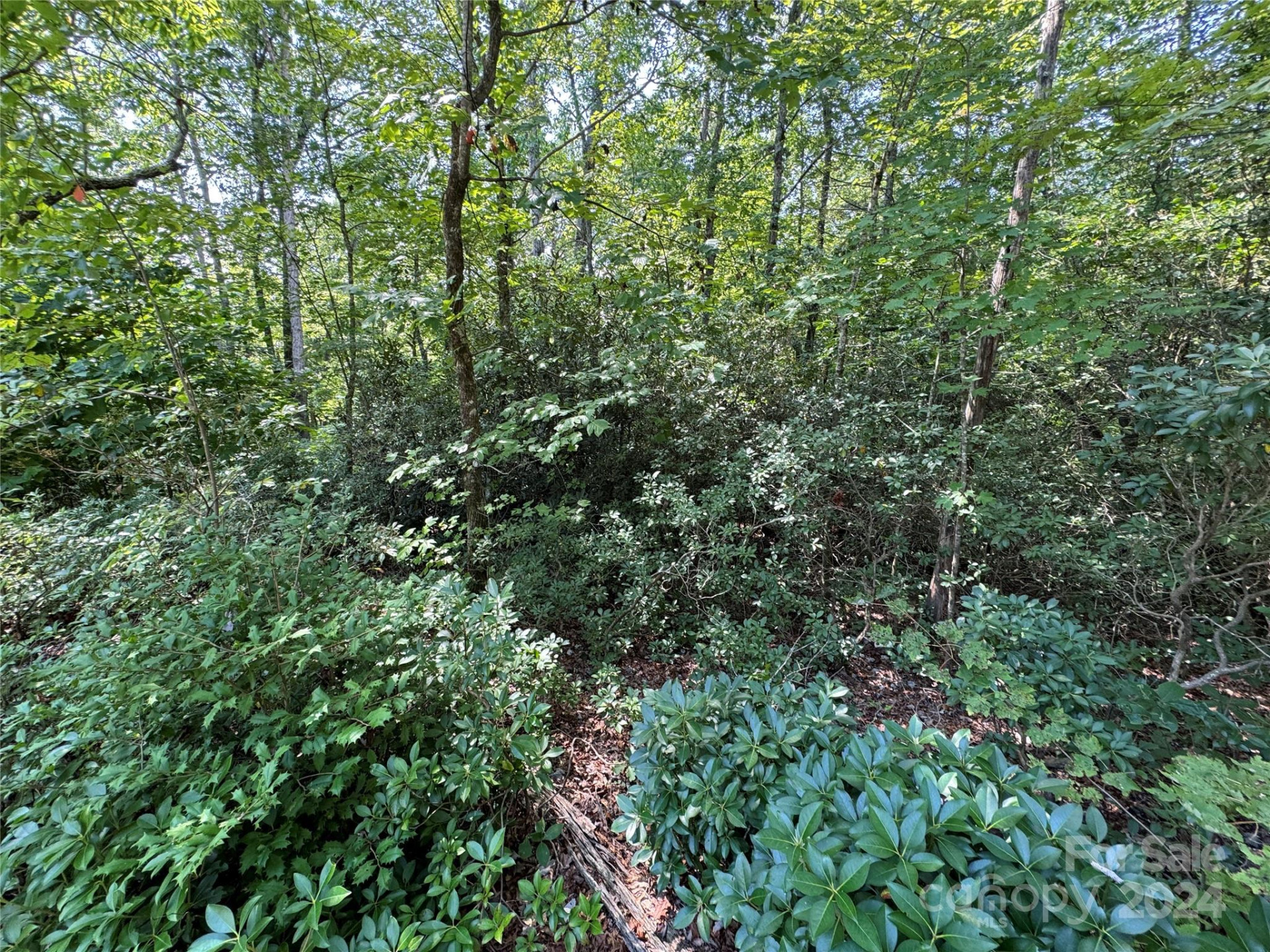 63 Cherry Cove Lane #3 - Photo 13