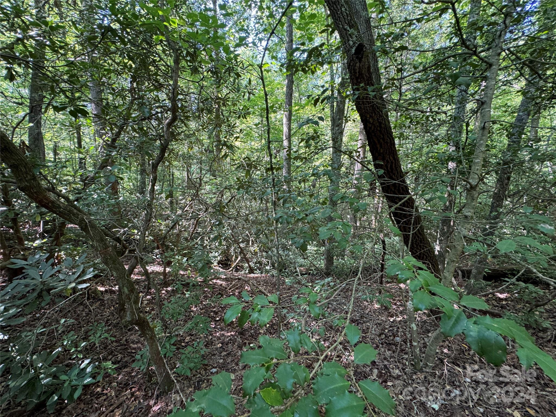 63 Cherry Cove Lane #3 - Photo 14