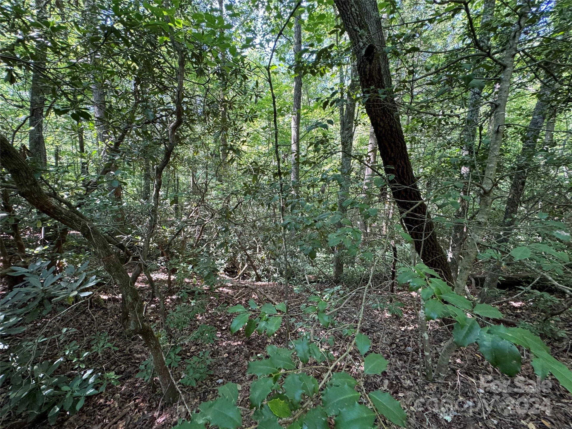 63 Cherry Cove Lane #3 - Photo 14