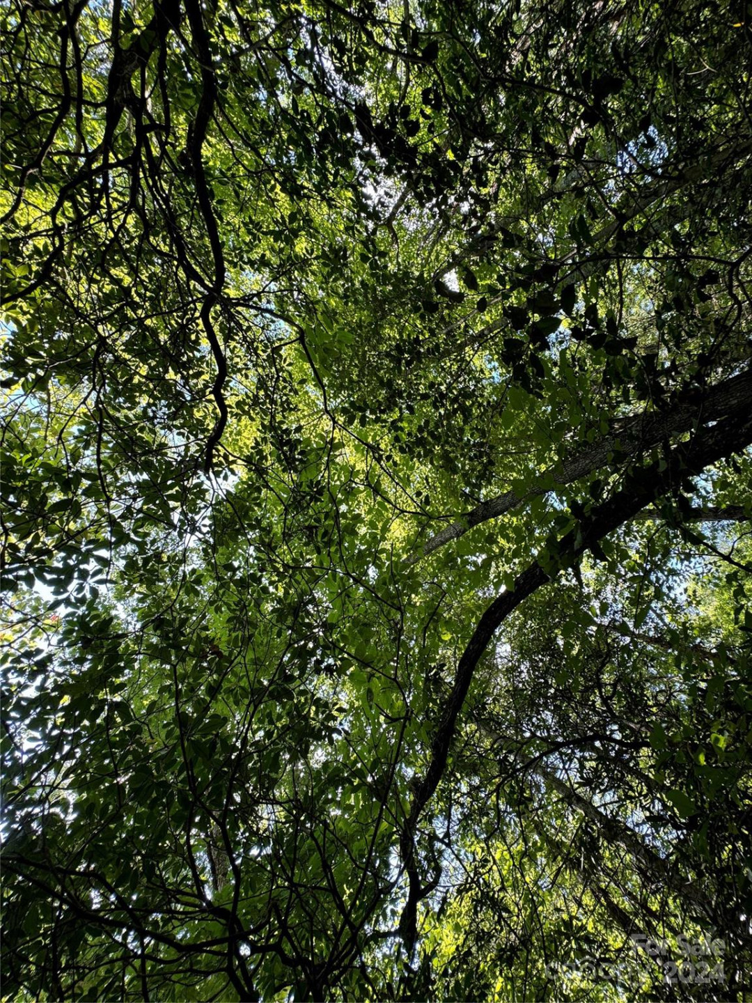 63 Cherry Cove Lane #3 - Photo 15