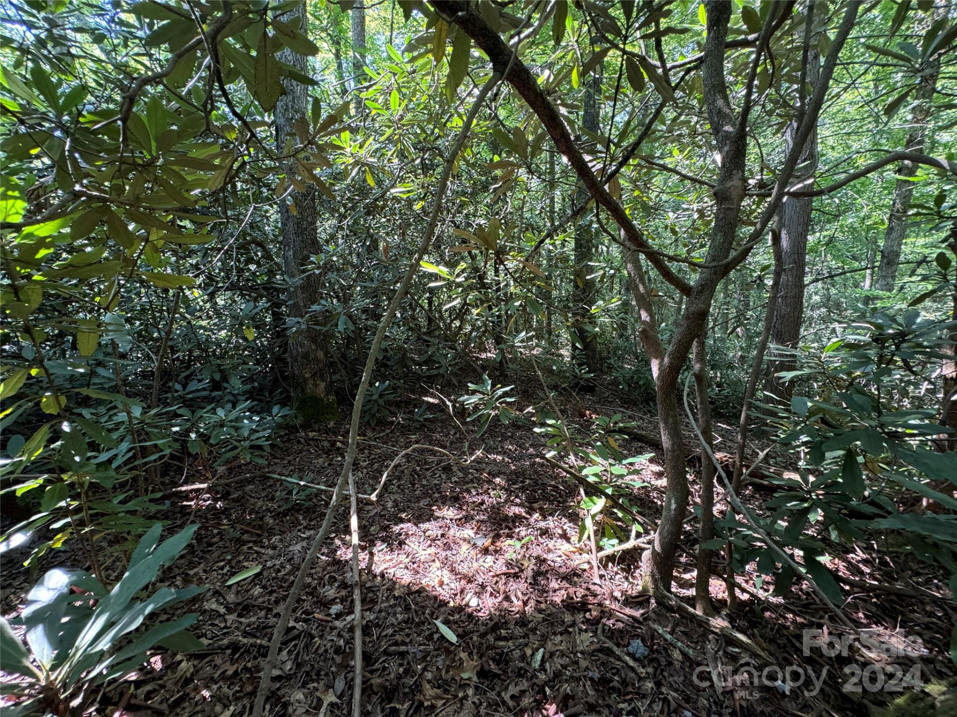 63 Cherry Cove Lane #3 - Photo 16