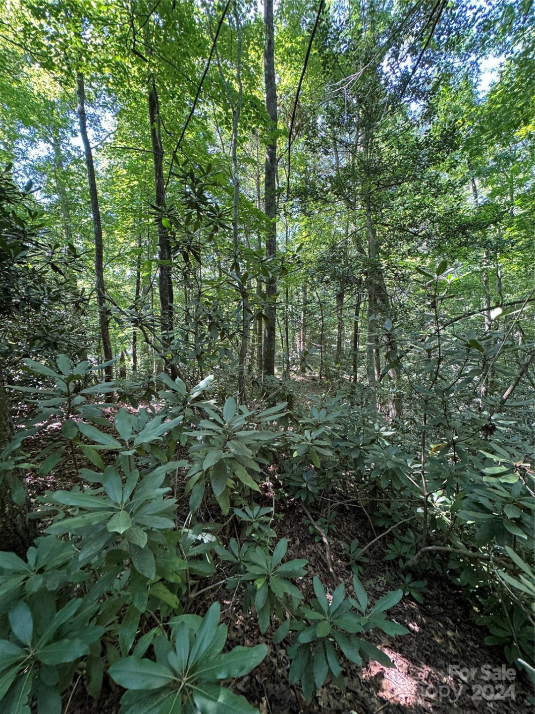 63 Cherry Cove Lane #3 - Photo 17