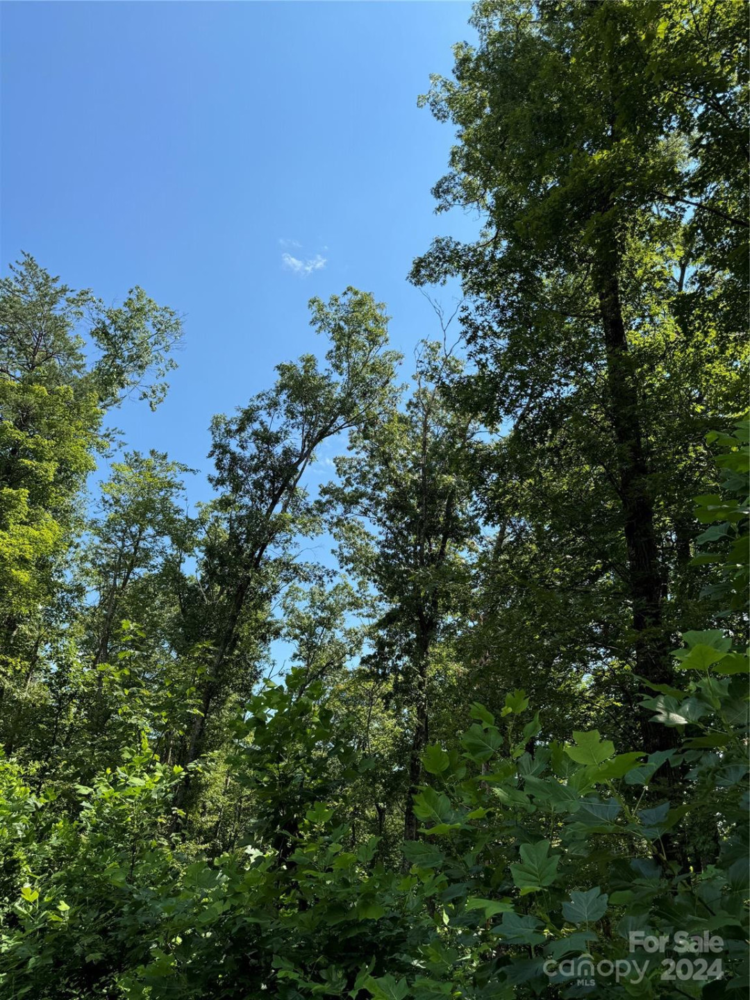 63 Cherry Cove Lane #3 - Photo 18