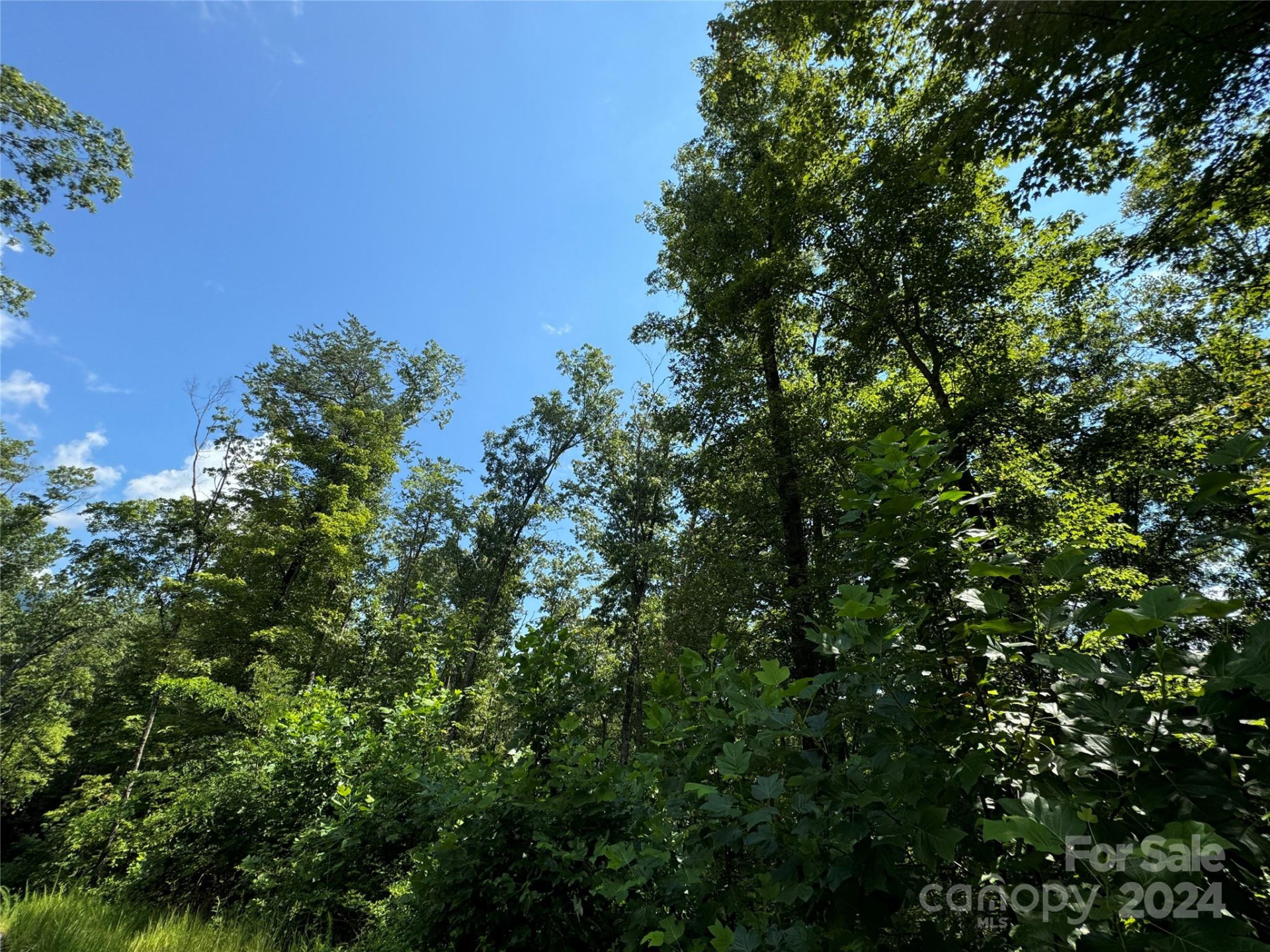 63 Cherry Cove Lane #3 - Photo 19