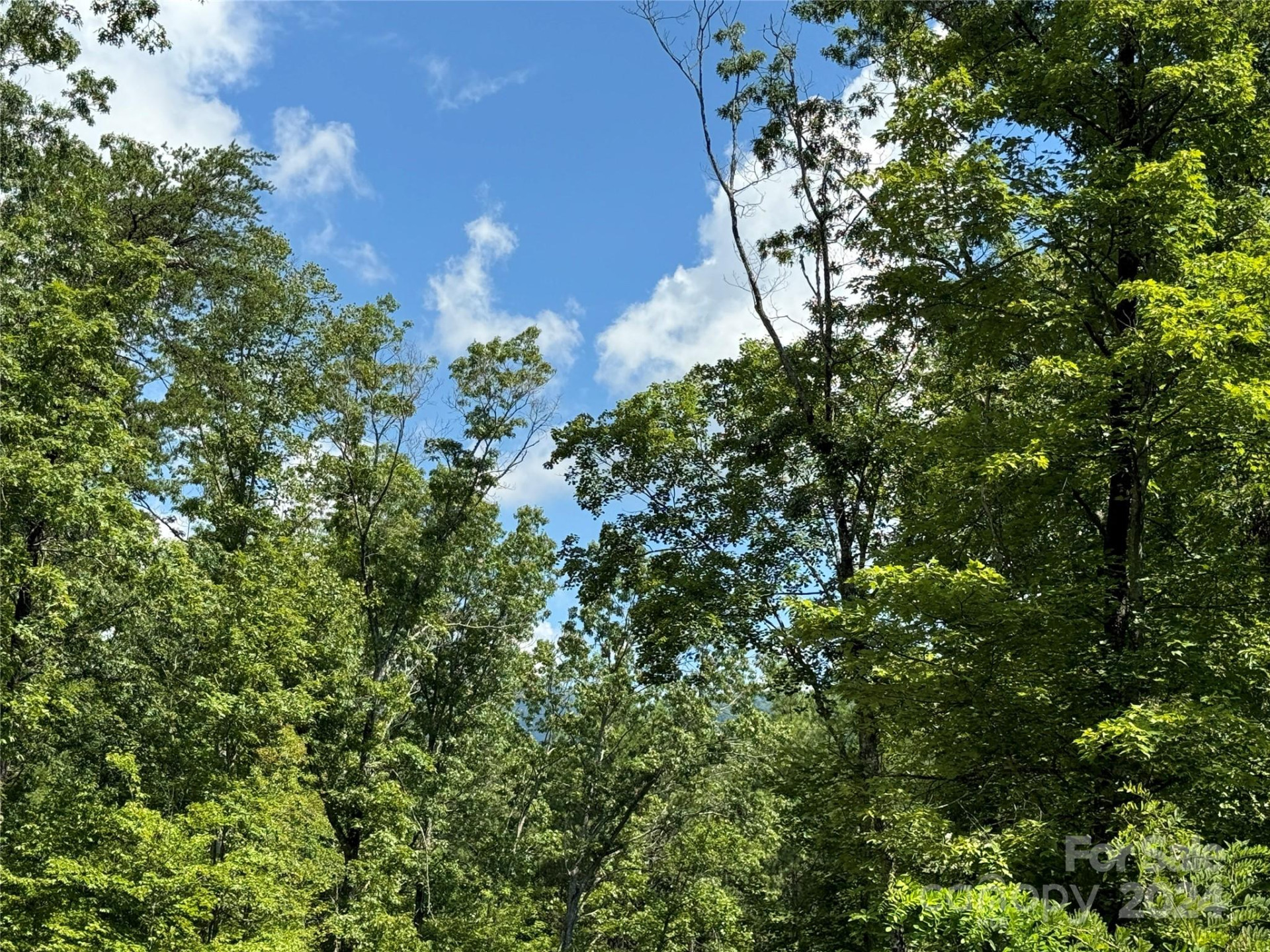 63 Cherry Cove Lane #3 - Photo 20