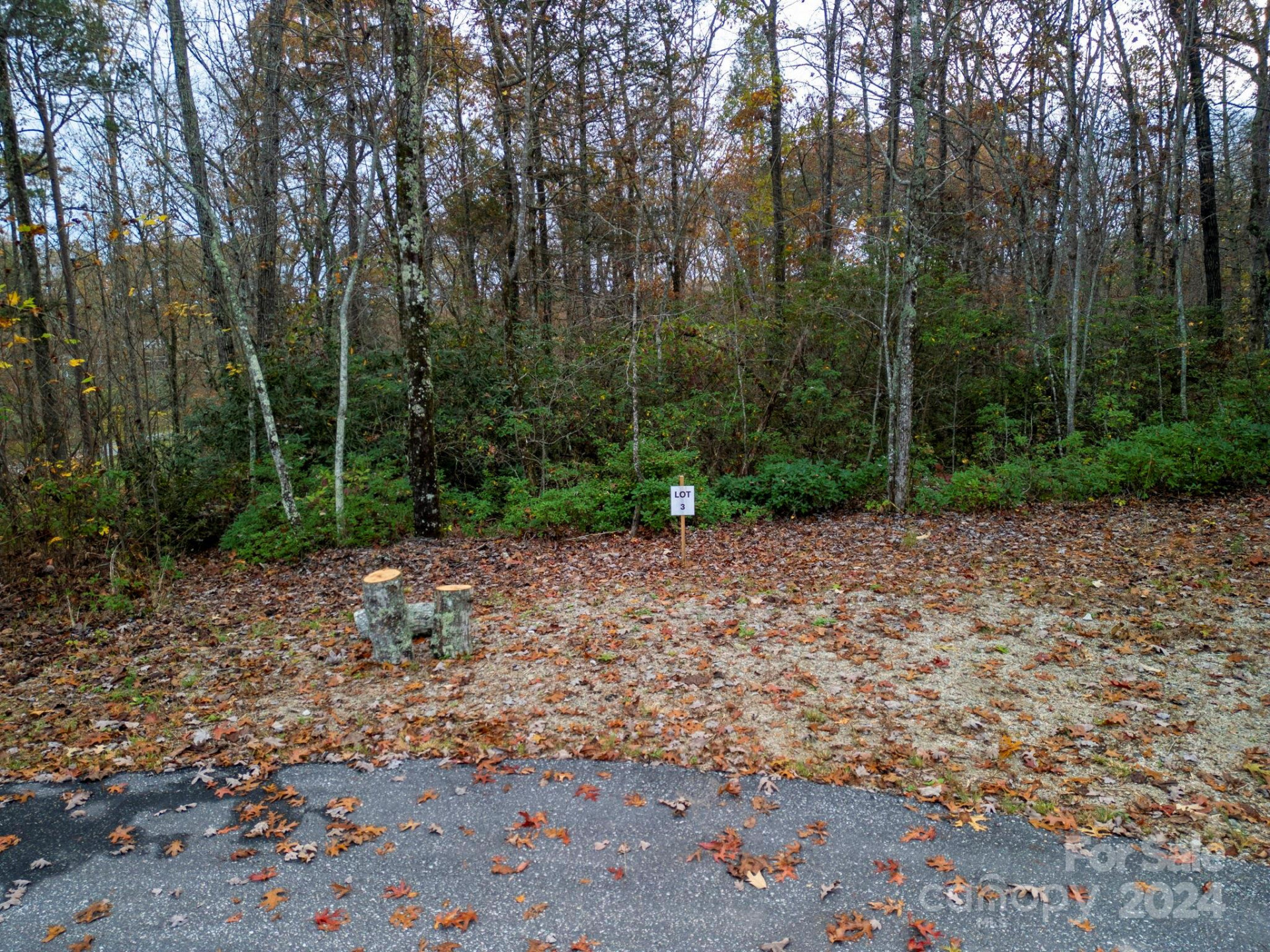 63 Cherry Cove Lane #3 - Photo 5