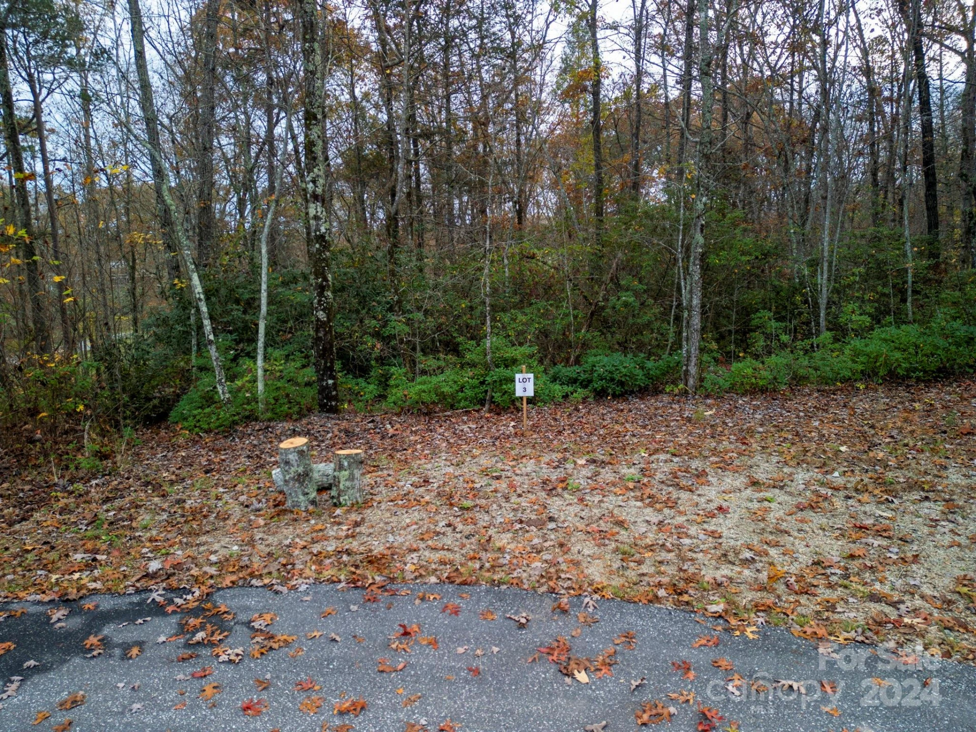 63 Cherry Cove Lane #3 - Photo 5