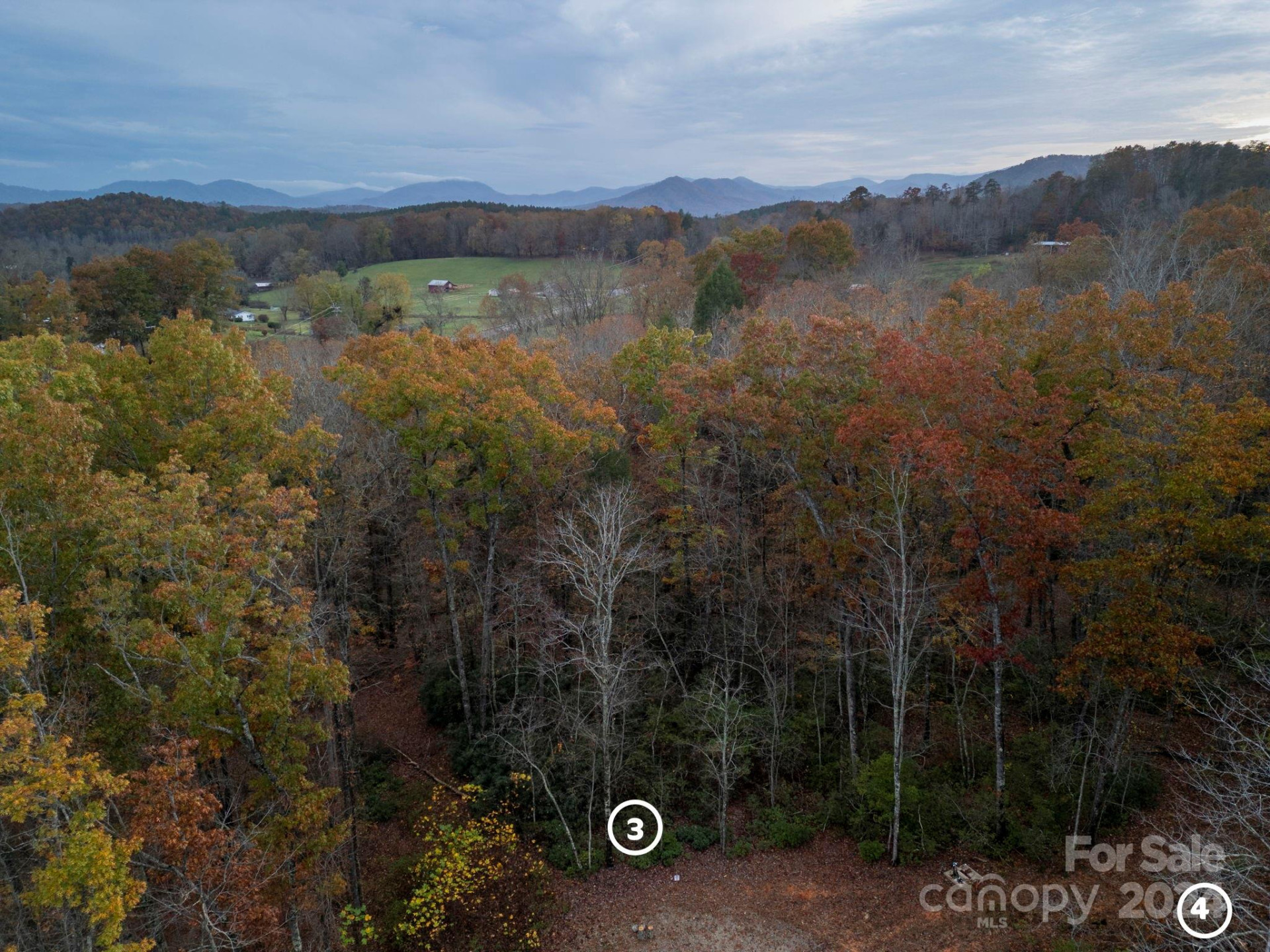 63 Cherry Cove Lane #3 - Photo 6