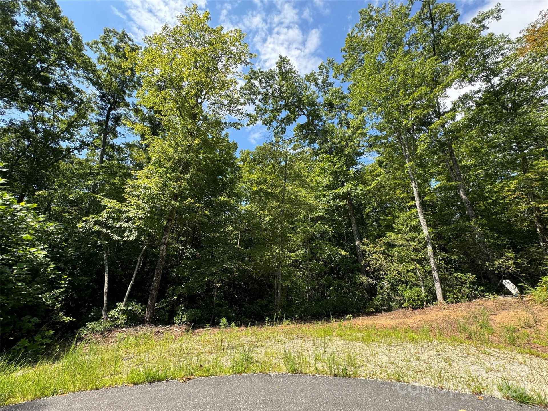 63 Cherry Cove Lane #3 - Photo 7