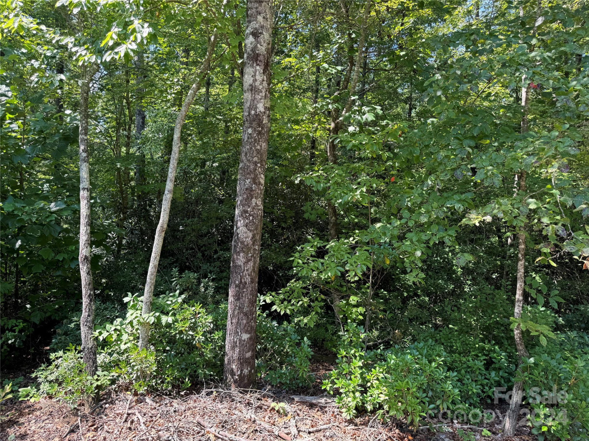 63 Cherry Cove Lane #3 - Photo 10