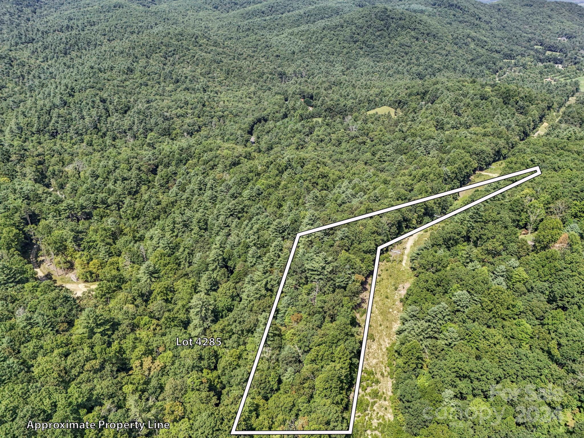 SR1196-A Evans Road - Photo 2