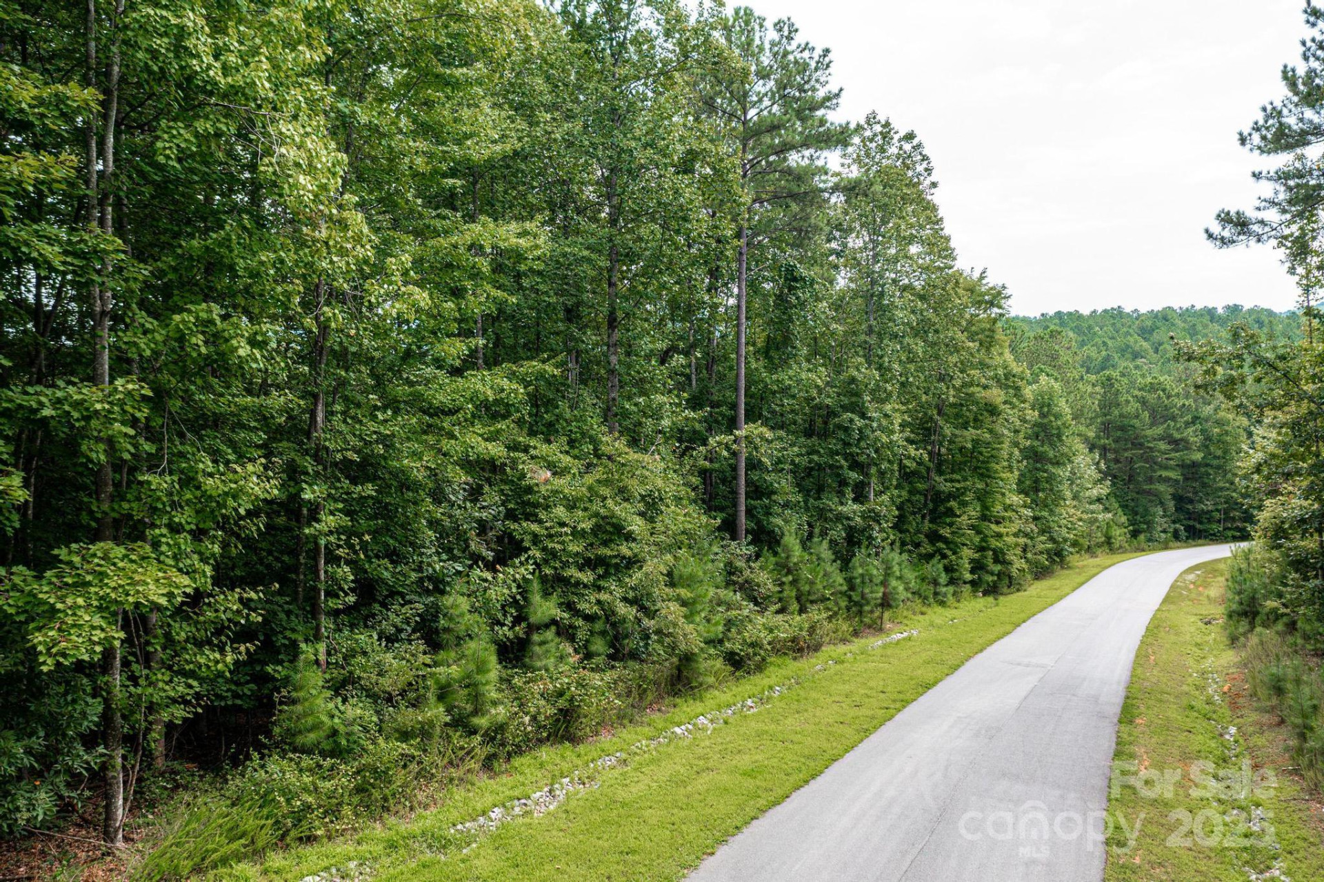 478 Lakeside Trail - Photo 3
