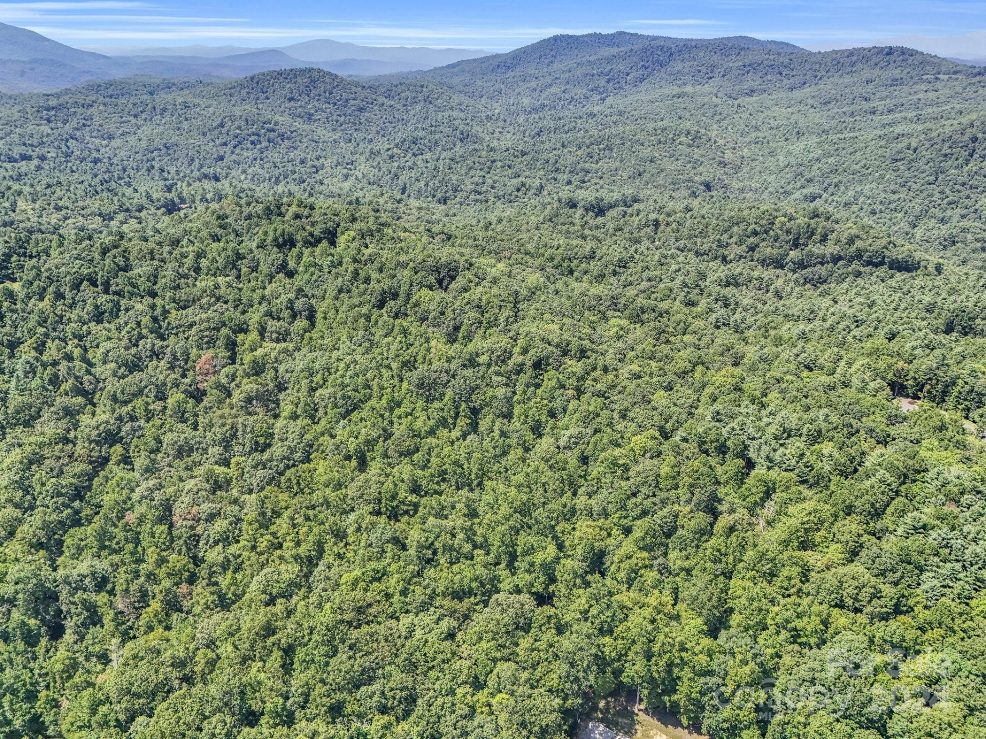 SR1196-B Evans Road - Photo 4