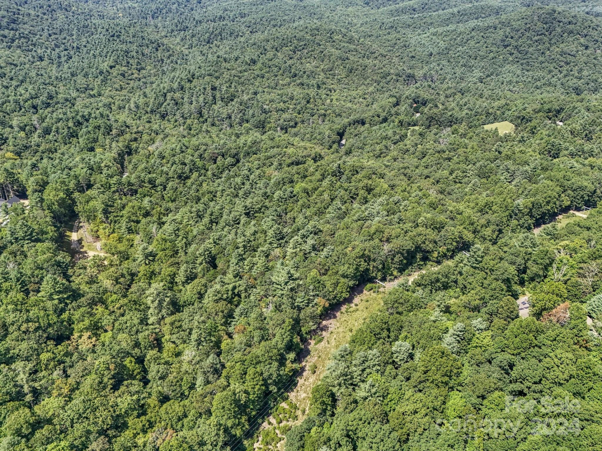 SR1196-E Evans Road - Photo 4