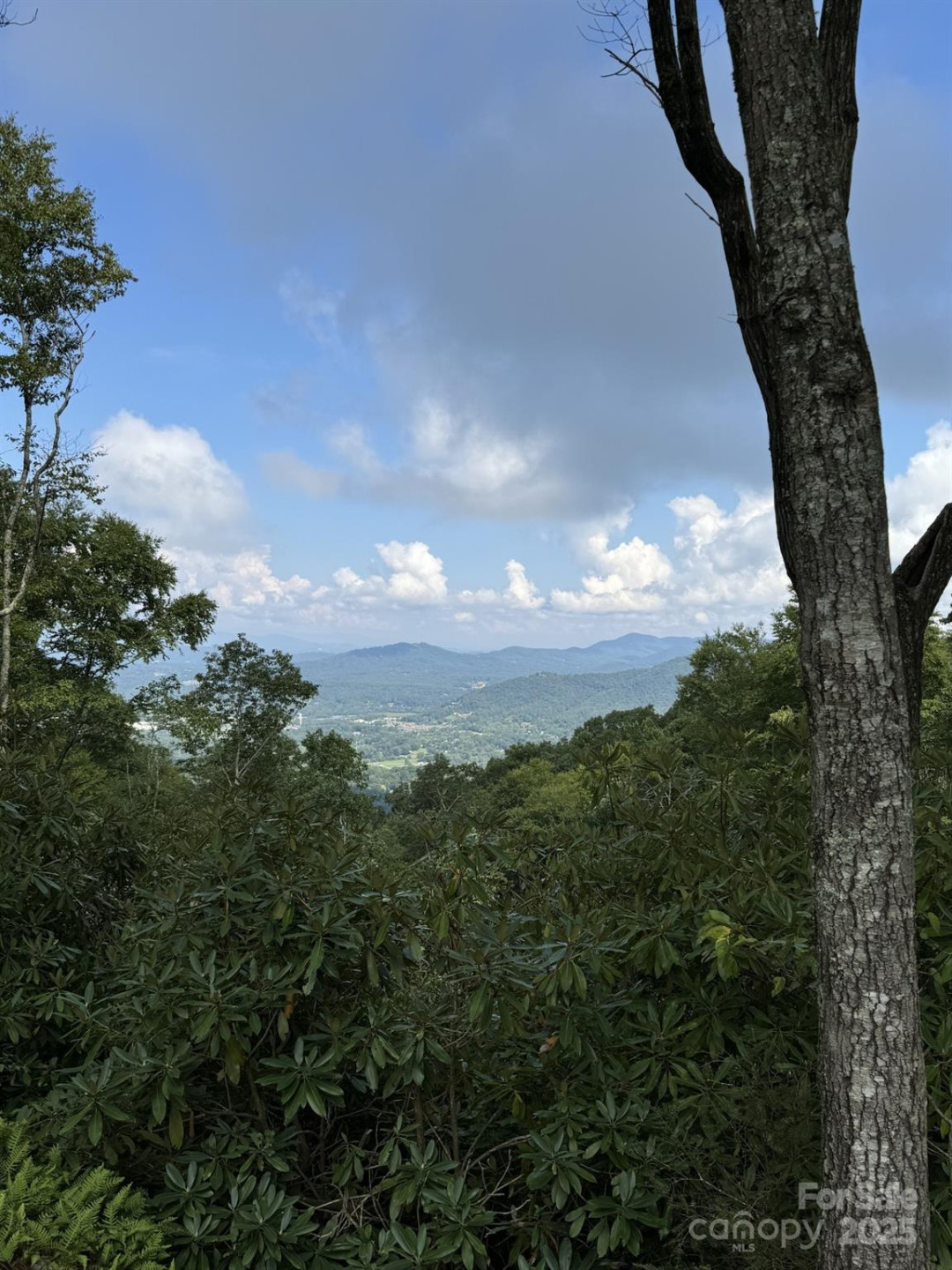 0000 West Garden Trail #Lot 63 - Photo 4