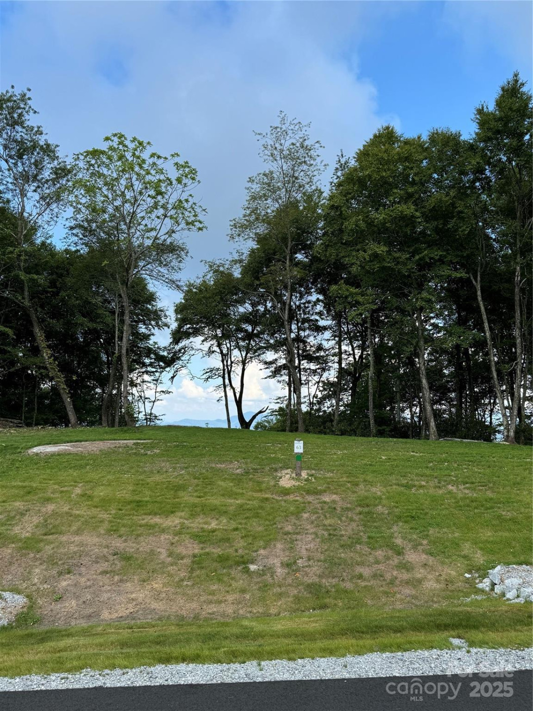 0000 West Garden Trail #Lot 63 - Photo 5