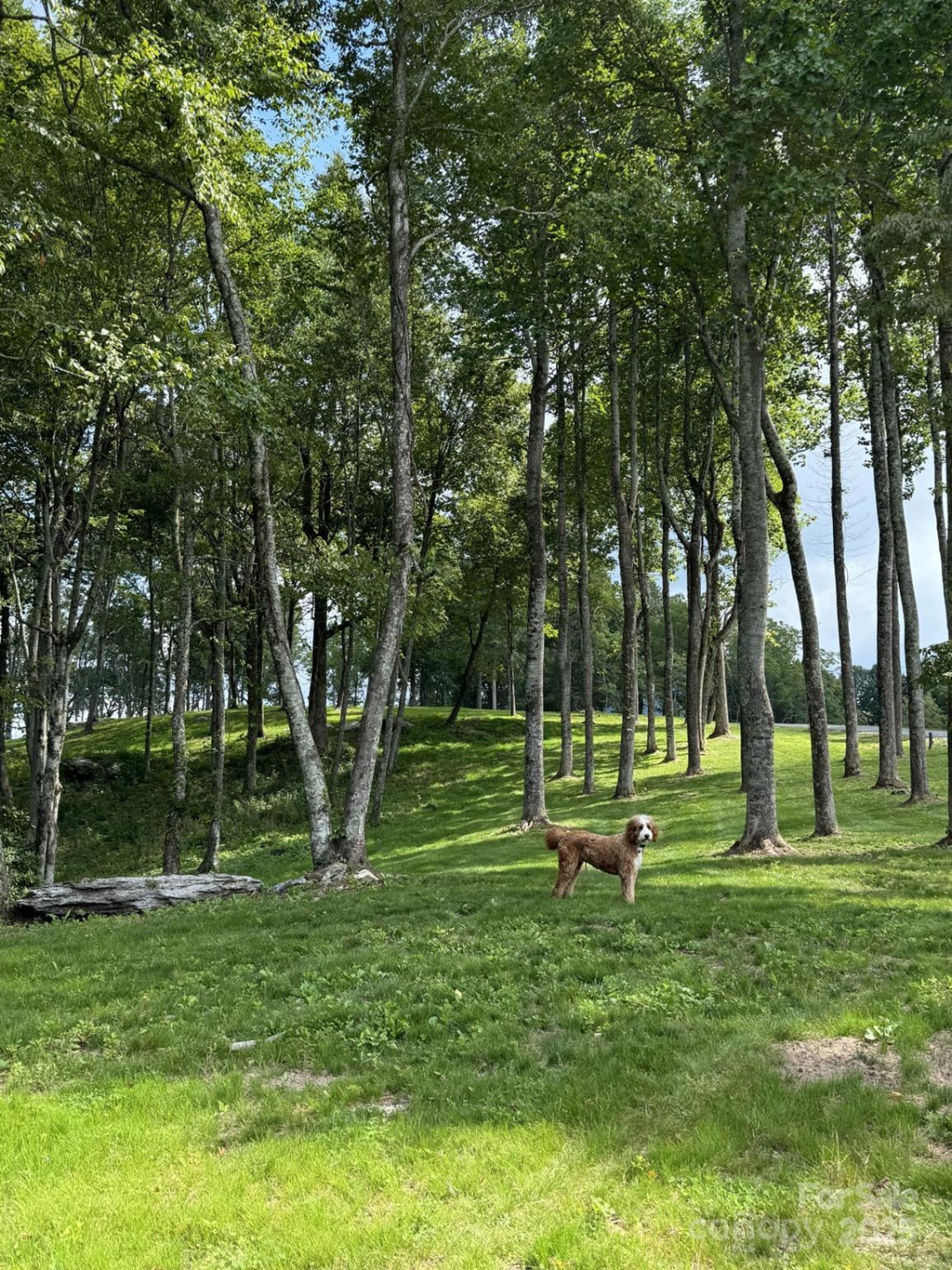 0000 West Garden Trail #Lot 63 - Photo 6