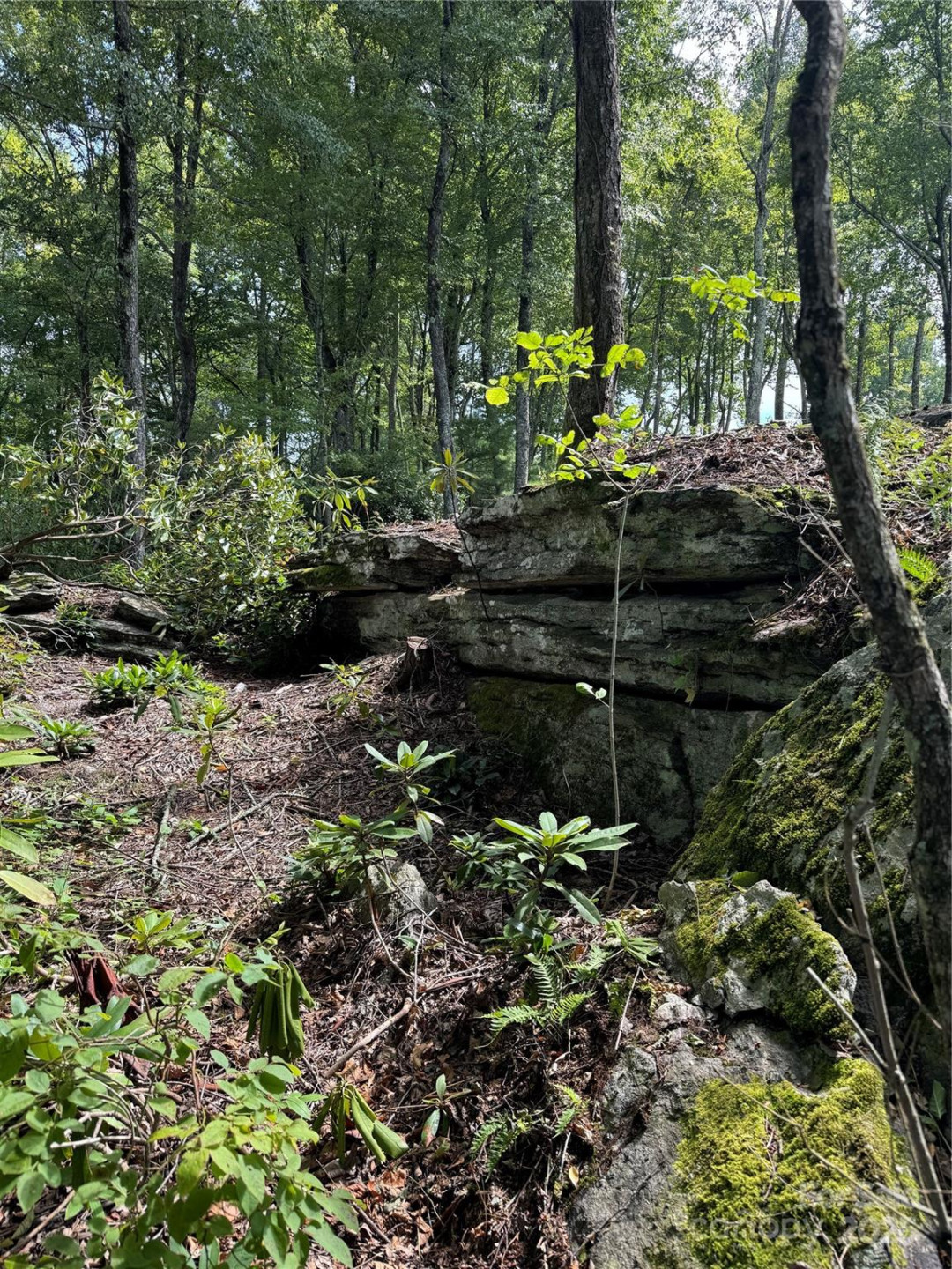 0000 West Garden Trail #Lot 63 - Photo 7