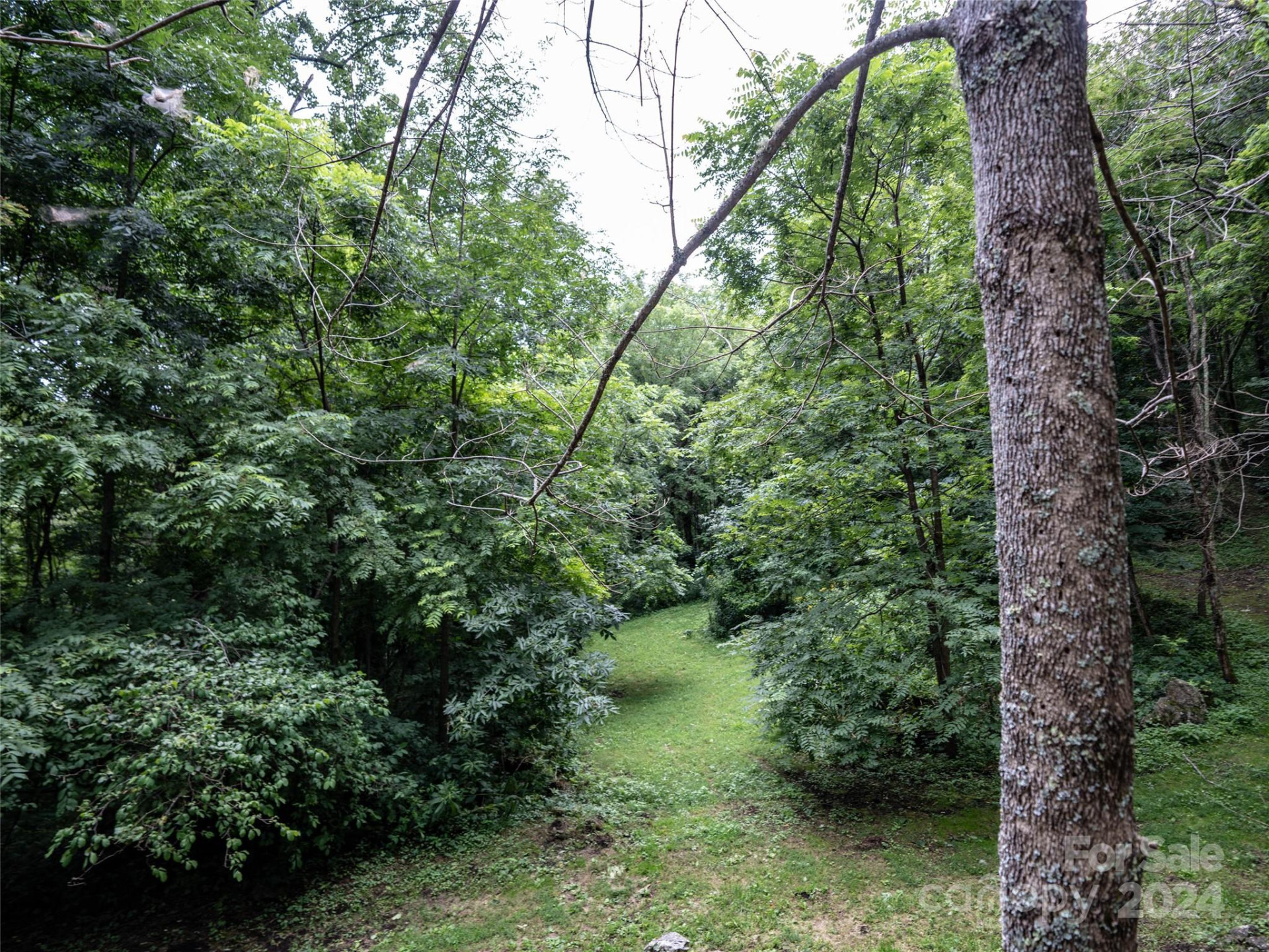 1001 Mountain Glen Road - Photo 29