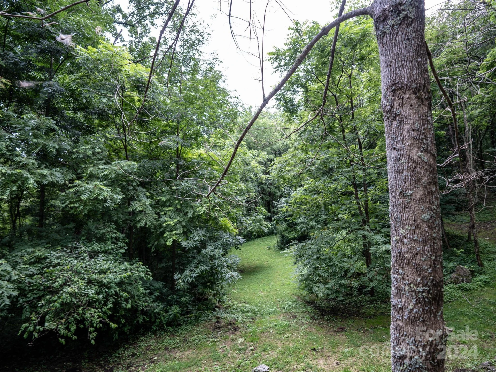 1001 Mountain Glen Road - Photo 29