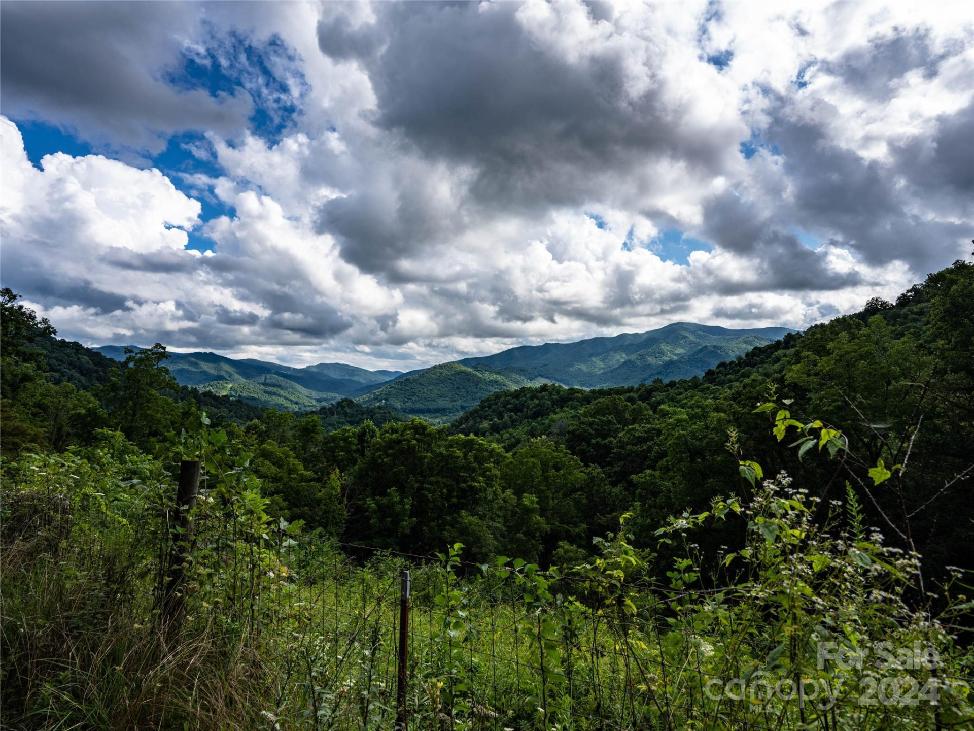 1001 Mountain Glen Road - Photo 37