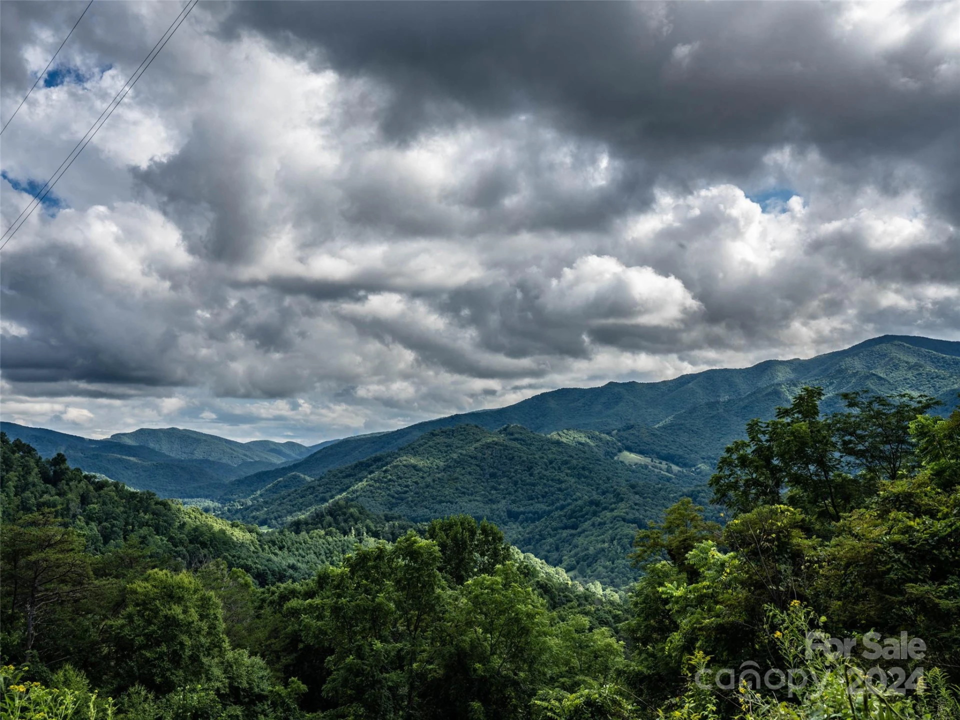 1001 Mountain Glen Road - Photo 38