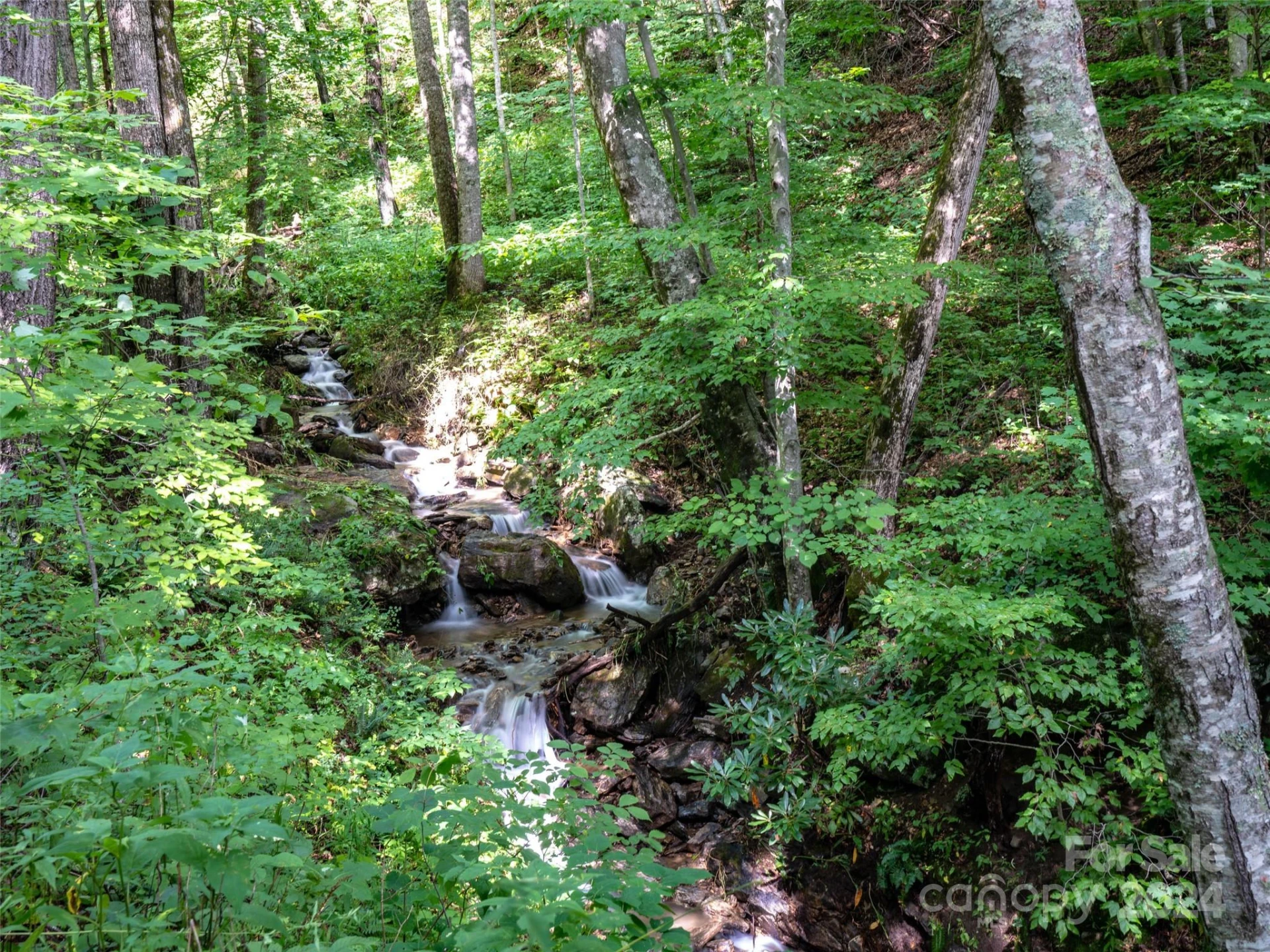 1001 Mountain Glen Road - Photo 39