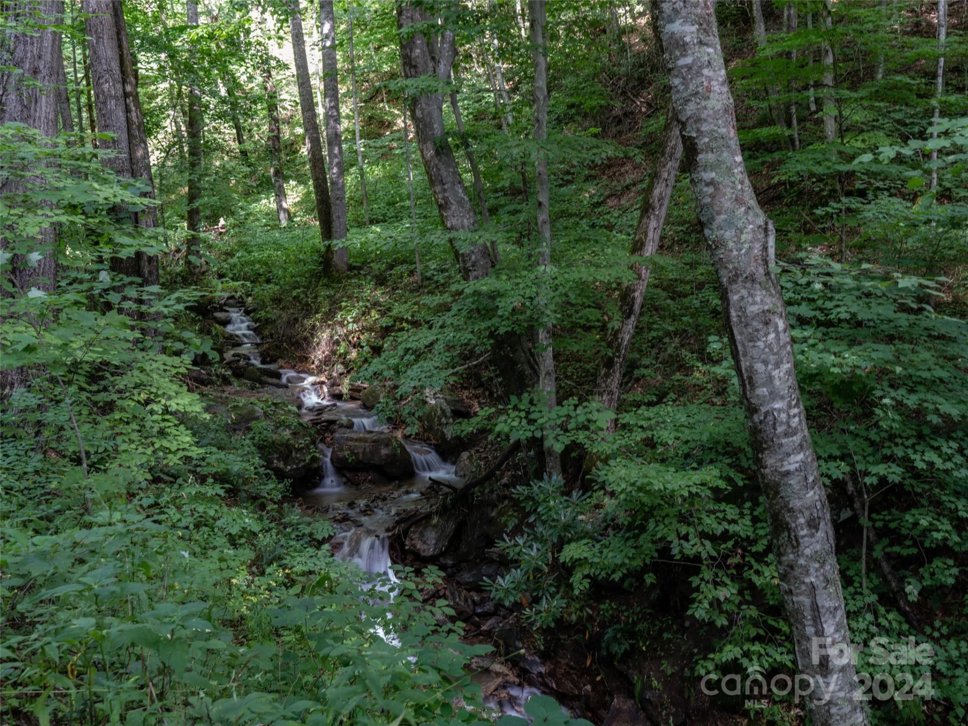 1001 Mountain Glen Road - Photo 40
