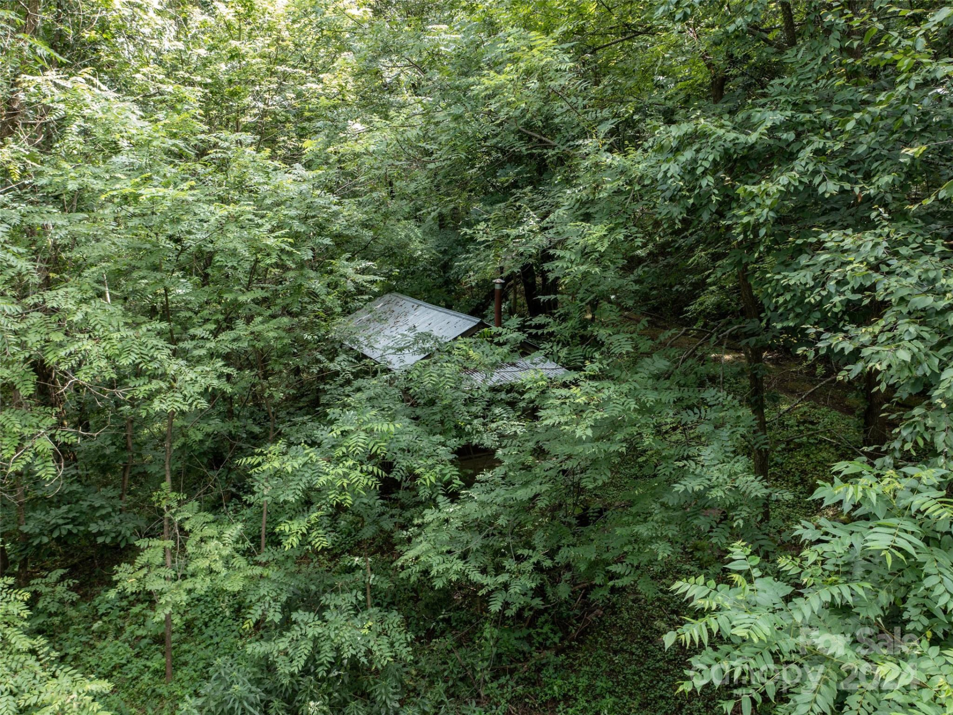 1001 Mountain Glen Road - Photo 5