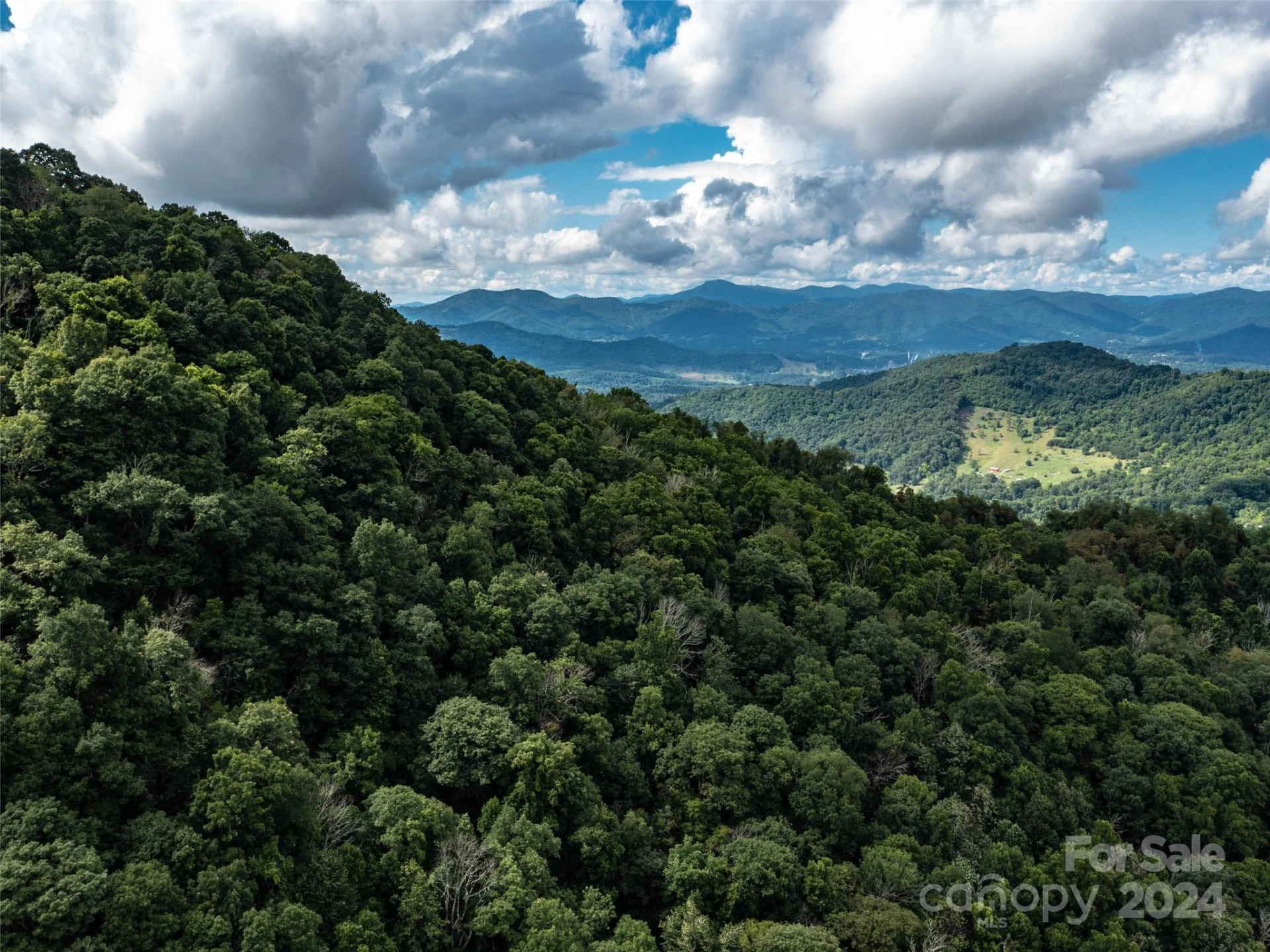1001 Mountain Glen Road - Photo 42